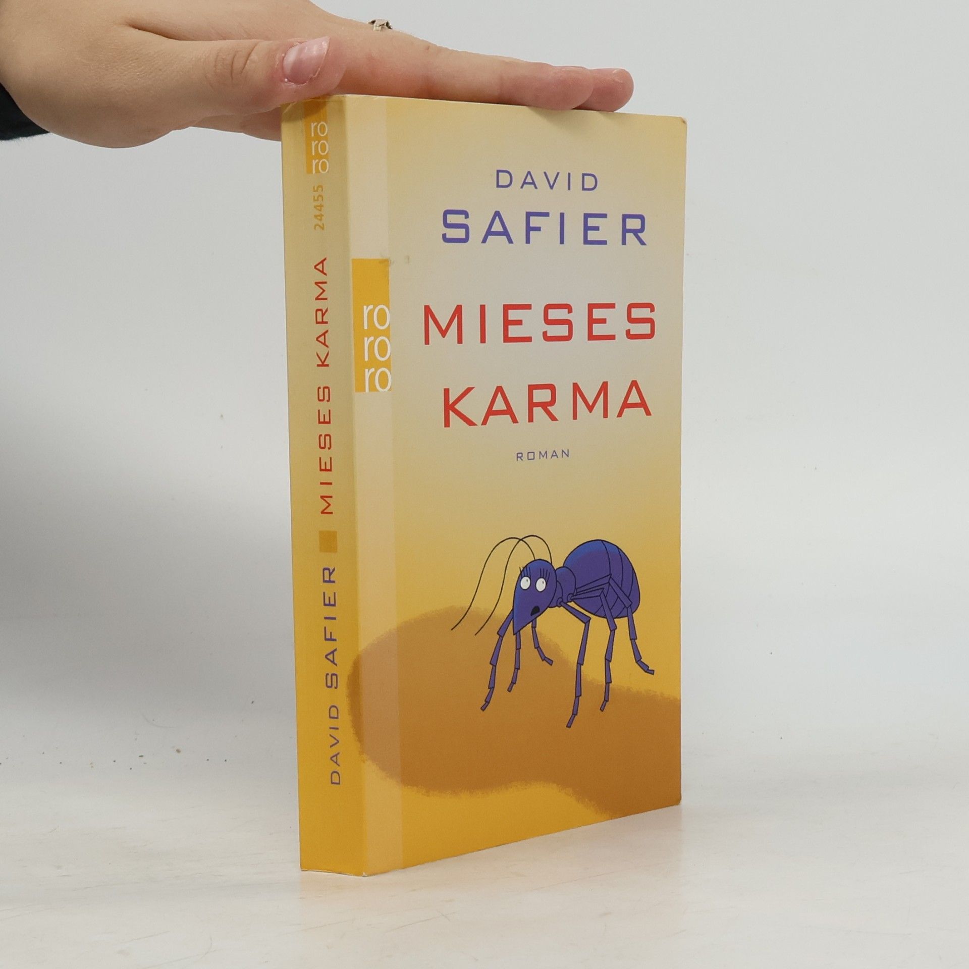 David Safier Mieses Karma