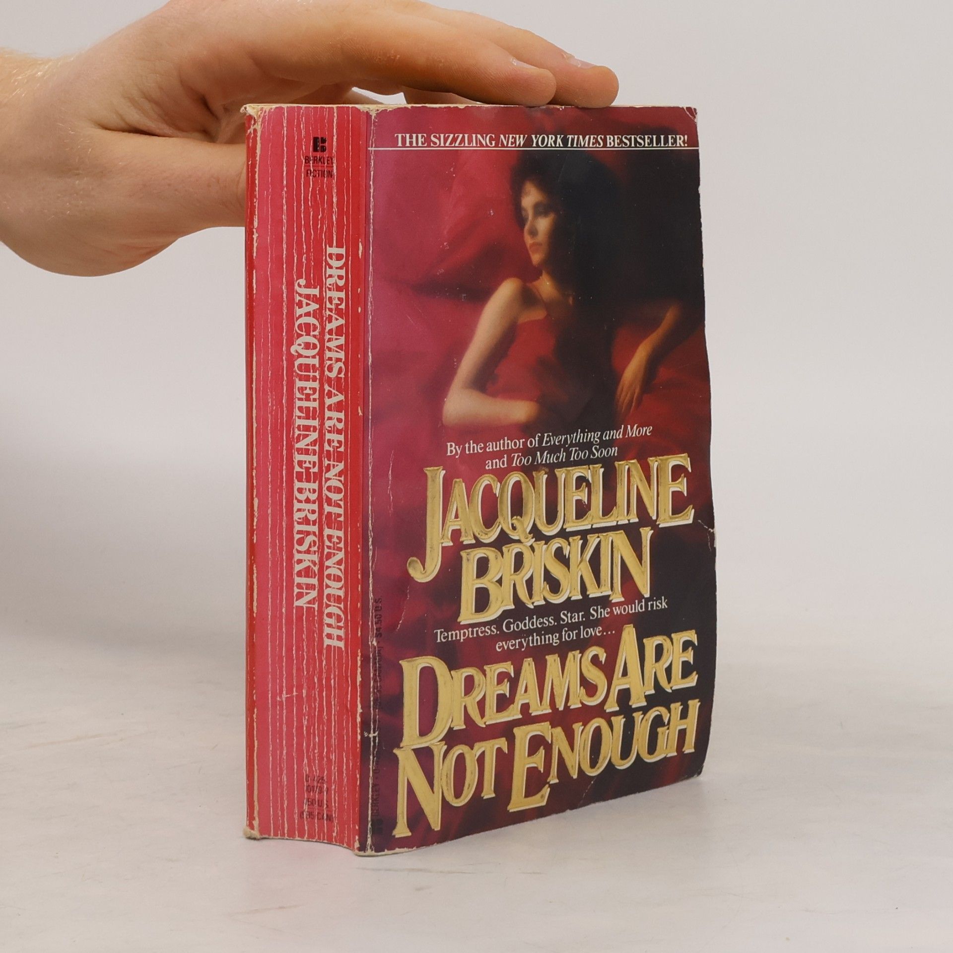 Jacqueline Briskin Dreams Are Not Enough