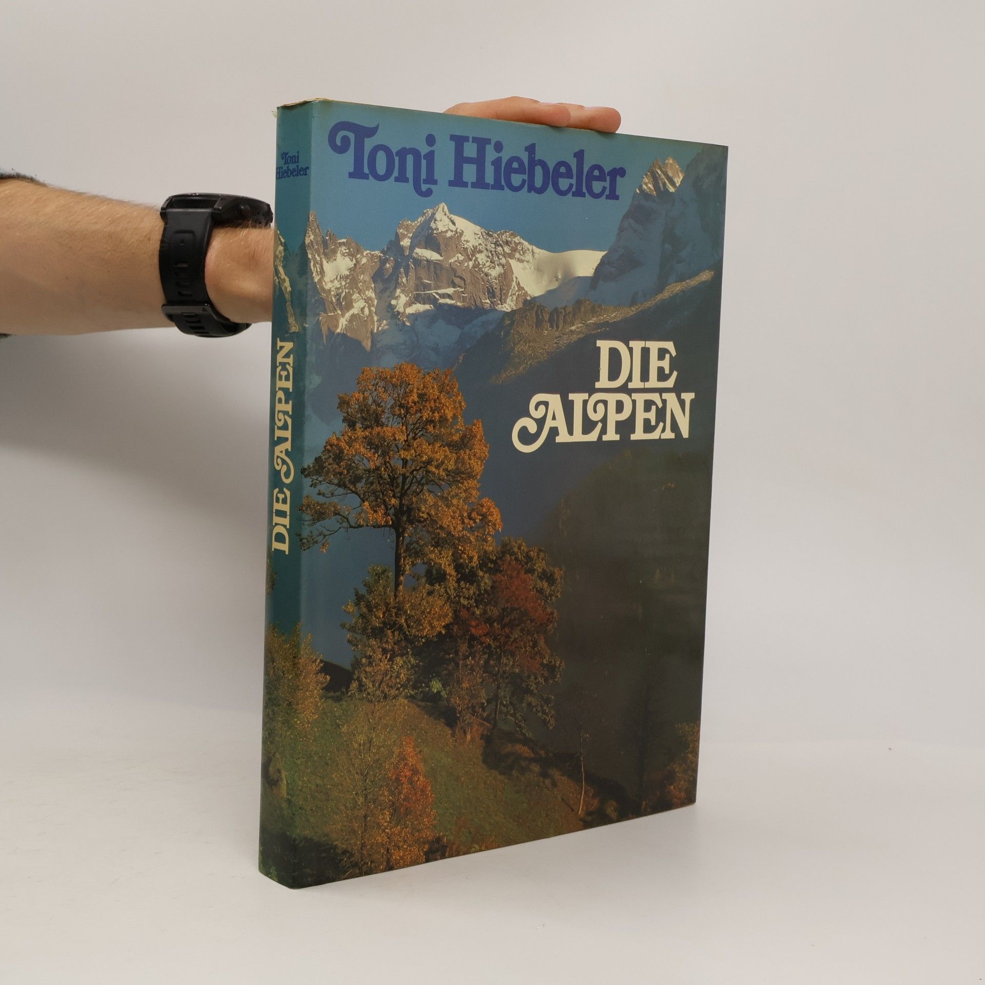 Die Alpen
