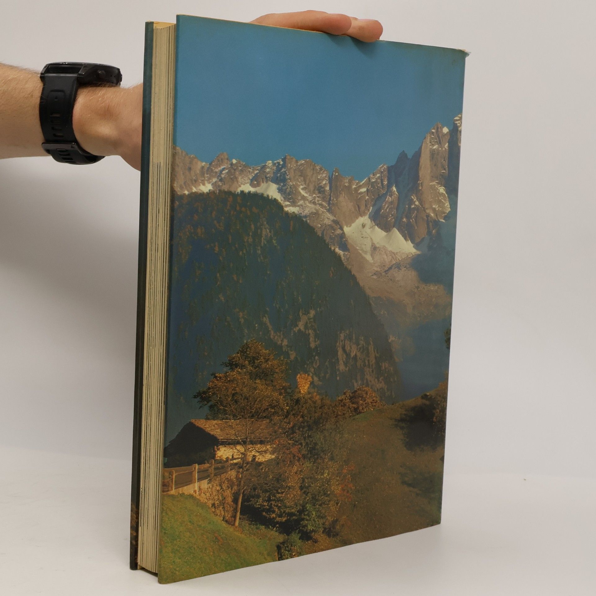 Toni Hiebeler Die Alpen