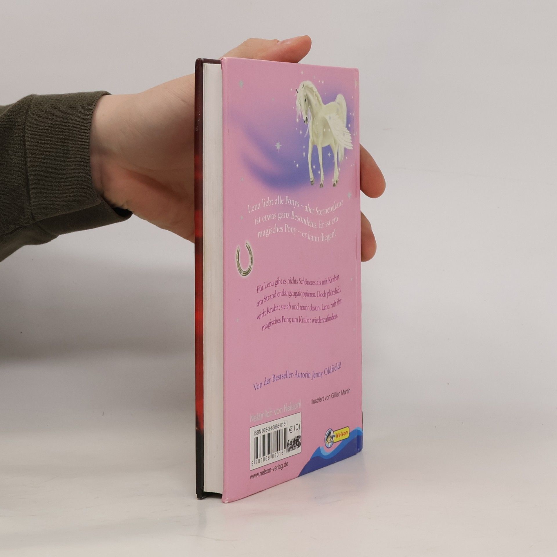Jenny Oldfield Mein magisches Pony