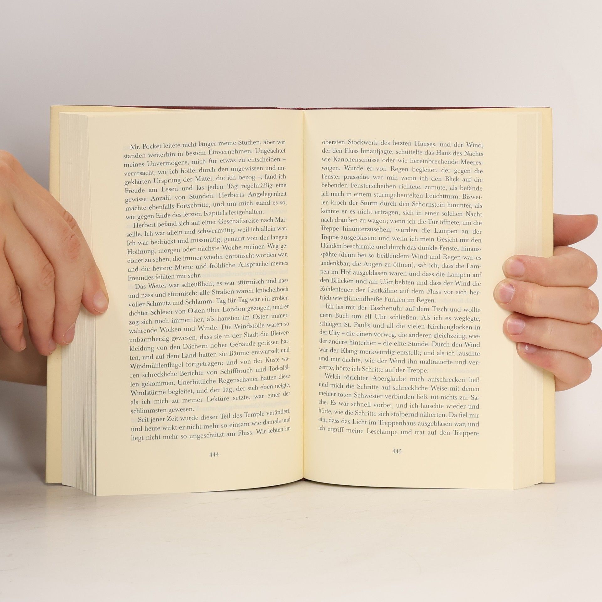 Charles Dickens Große Erwartungen