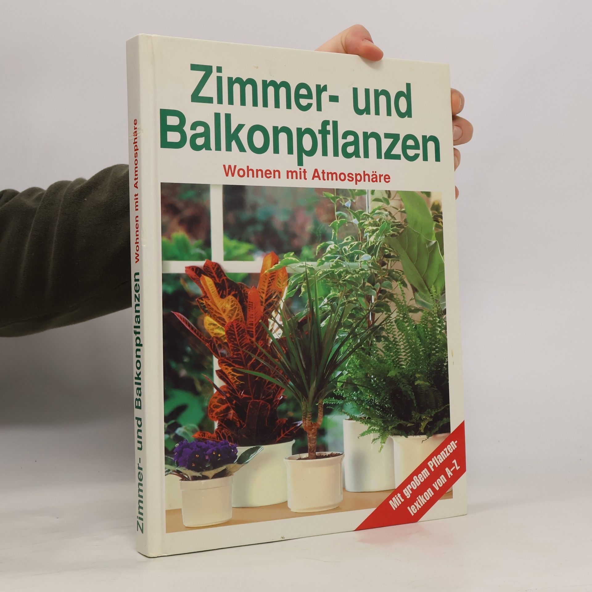 Collectif d'auteurs Zimmer und Balkonpflanzen