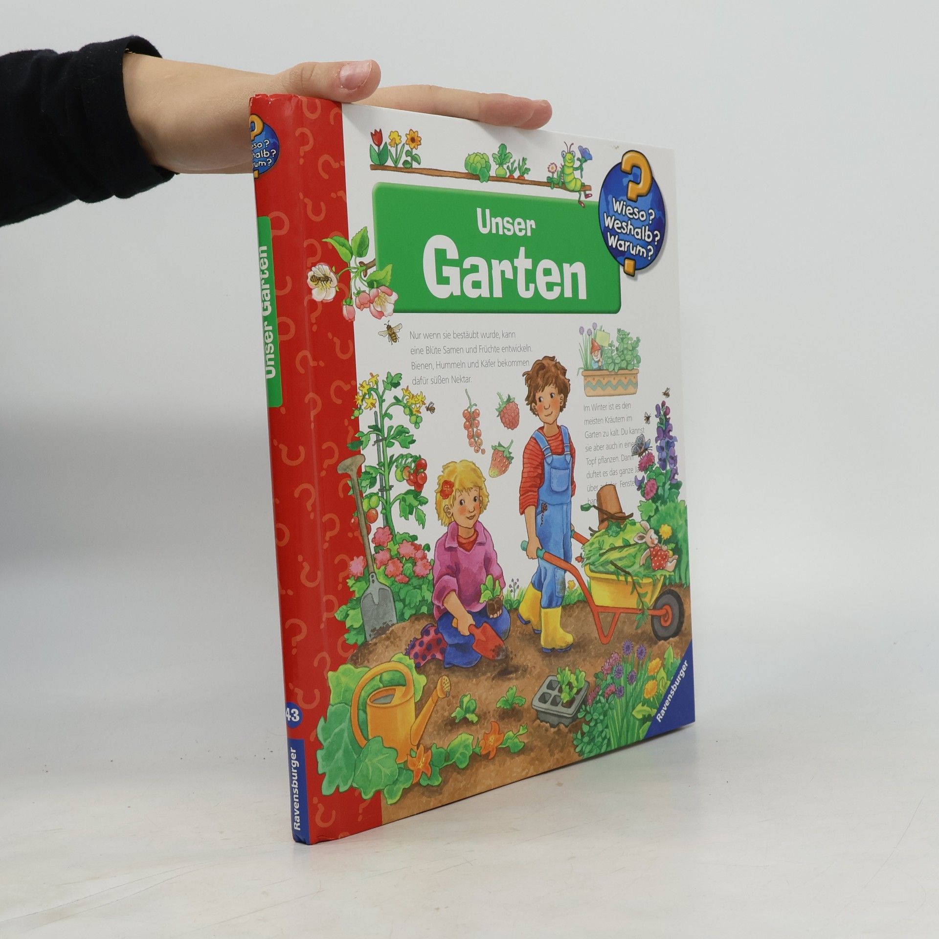 Unser Garten