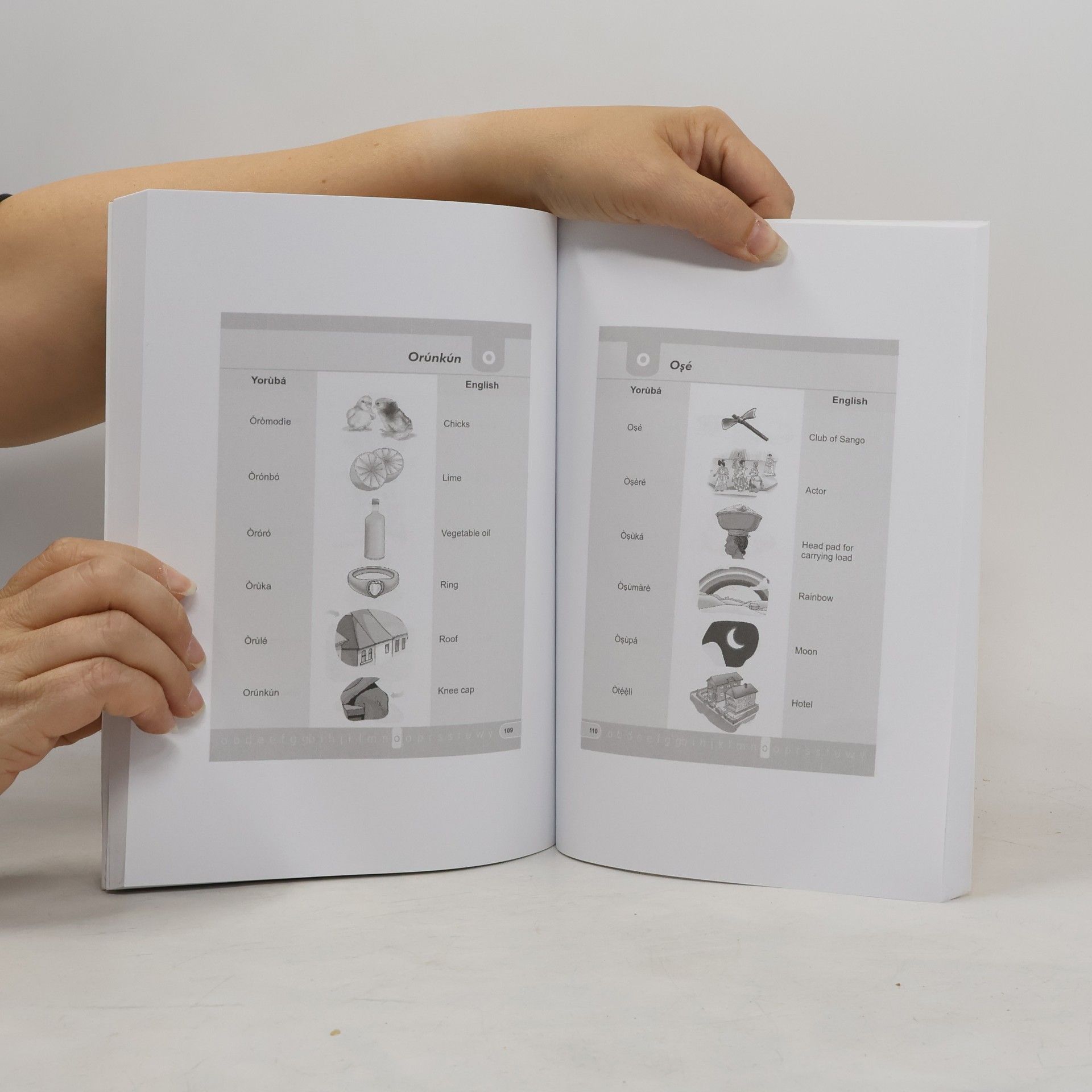 Lantern Books 1000 Words in Yoruba: First Illustrated 100 Words in Yoruba