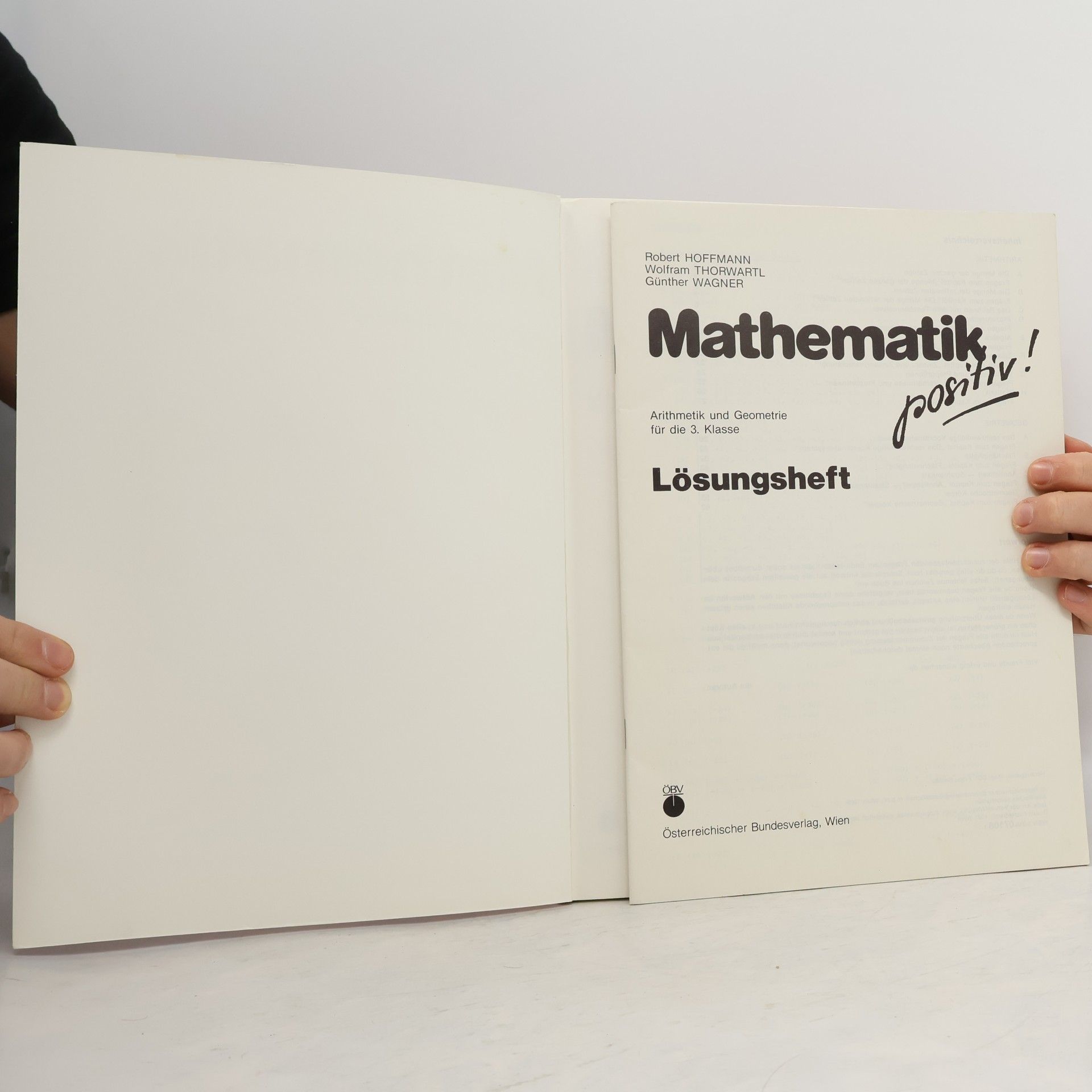 Robert Hoffmann Mathematik positiv!