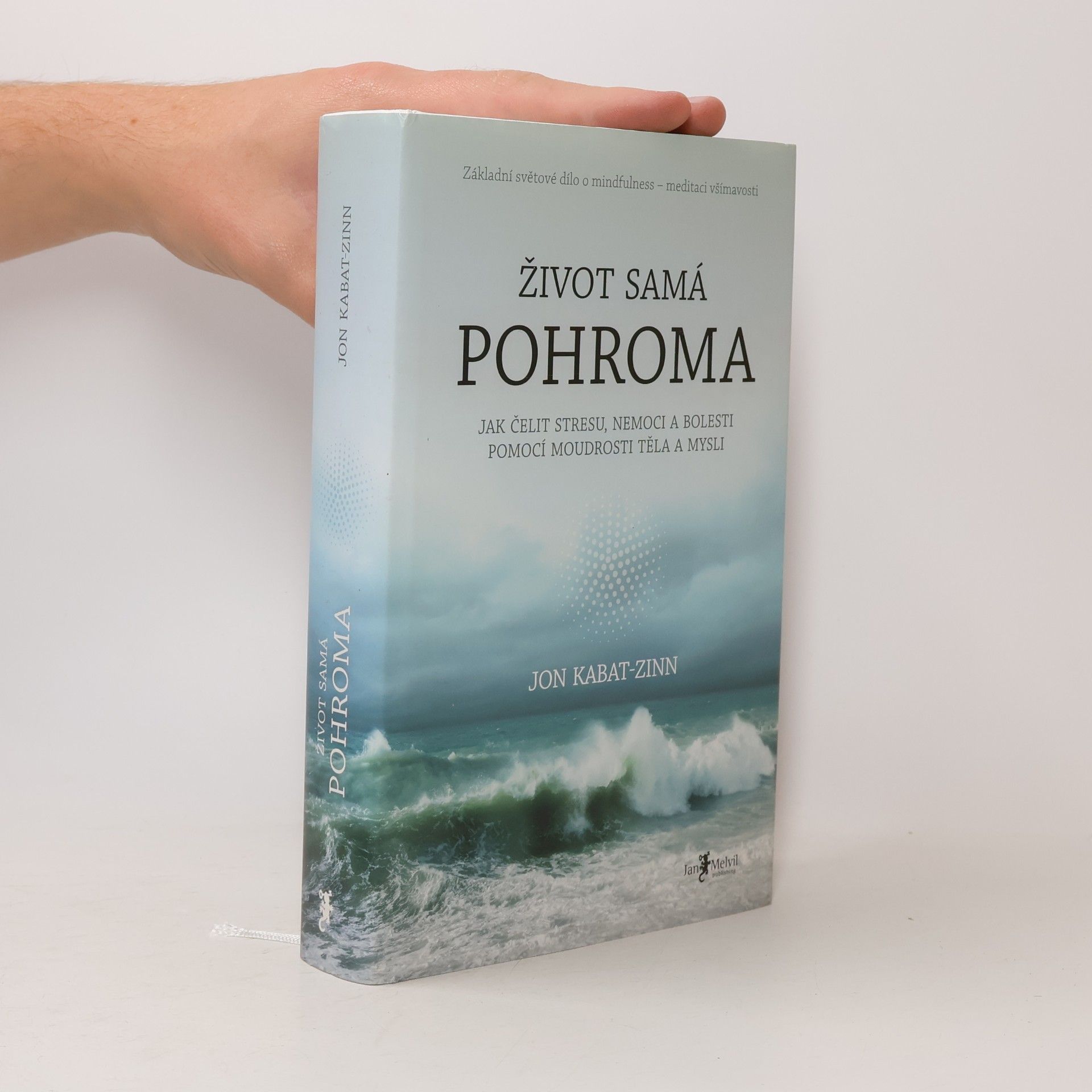 Jon Kabat-Zinn Život samá pohroma