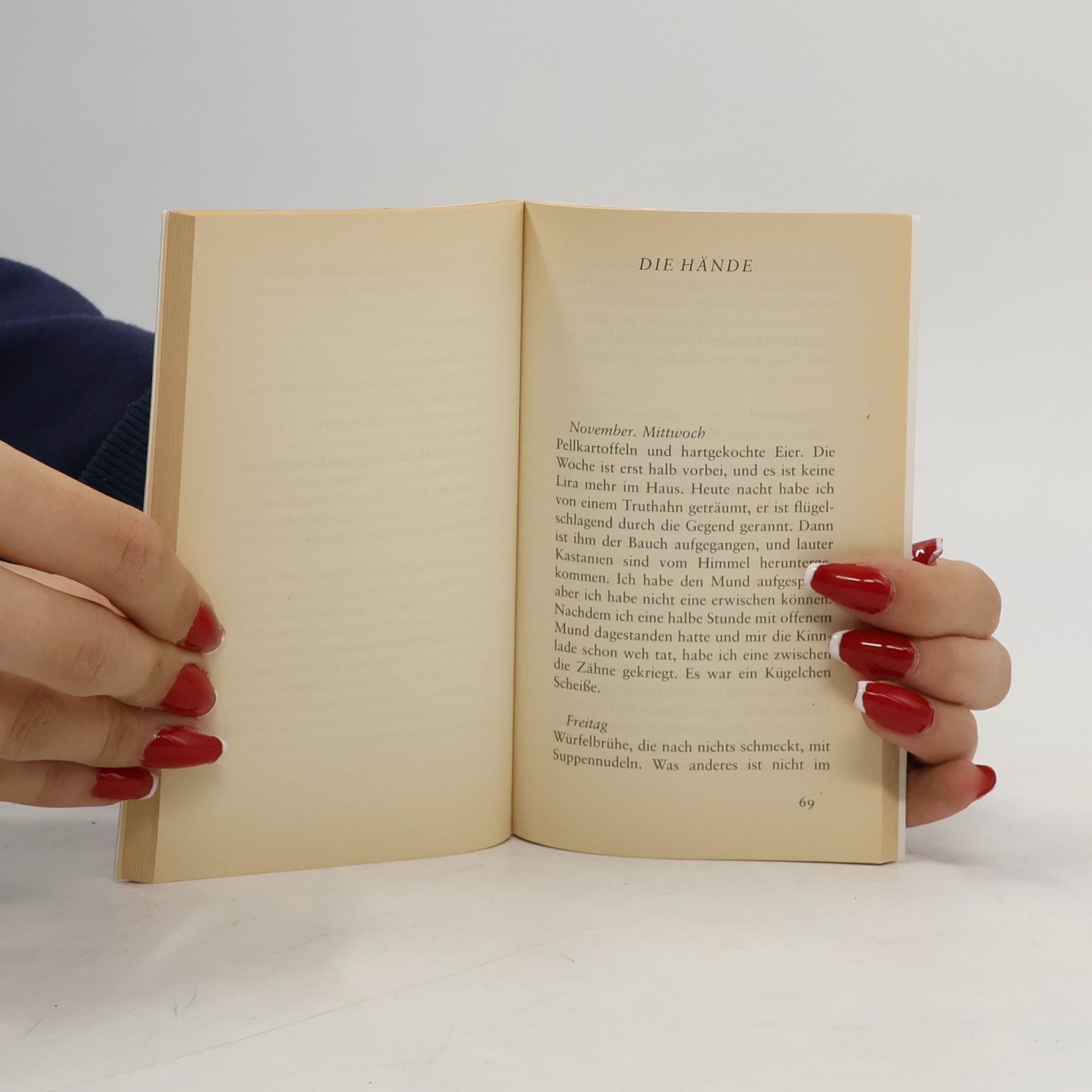 Dacia Maraini Ehetagebuch