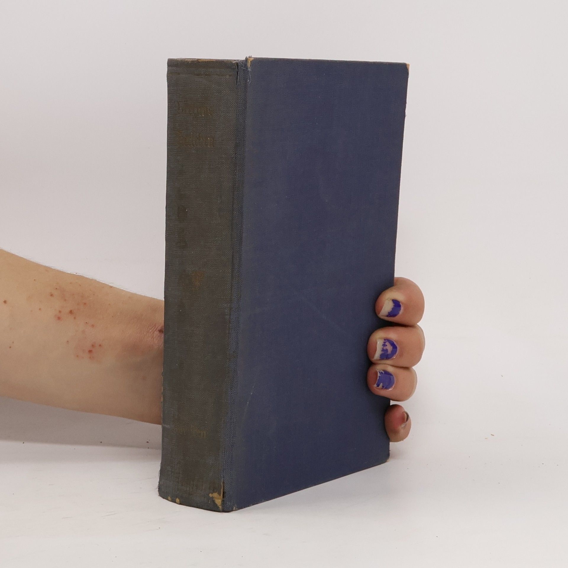 Kleine Schriften