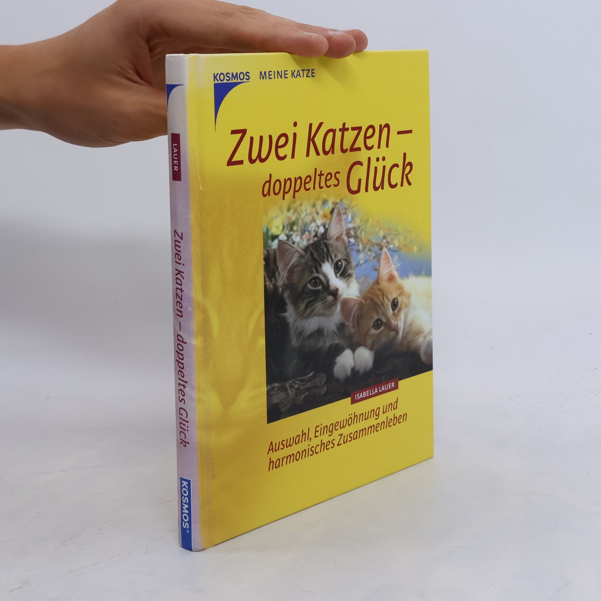 Zwei Katzen - doppeltes Glück