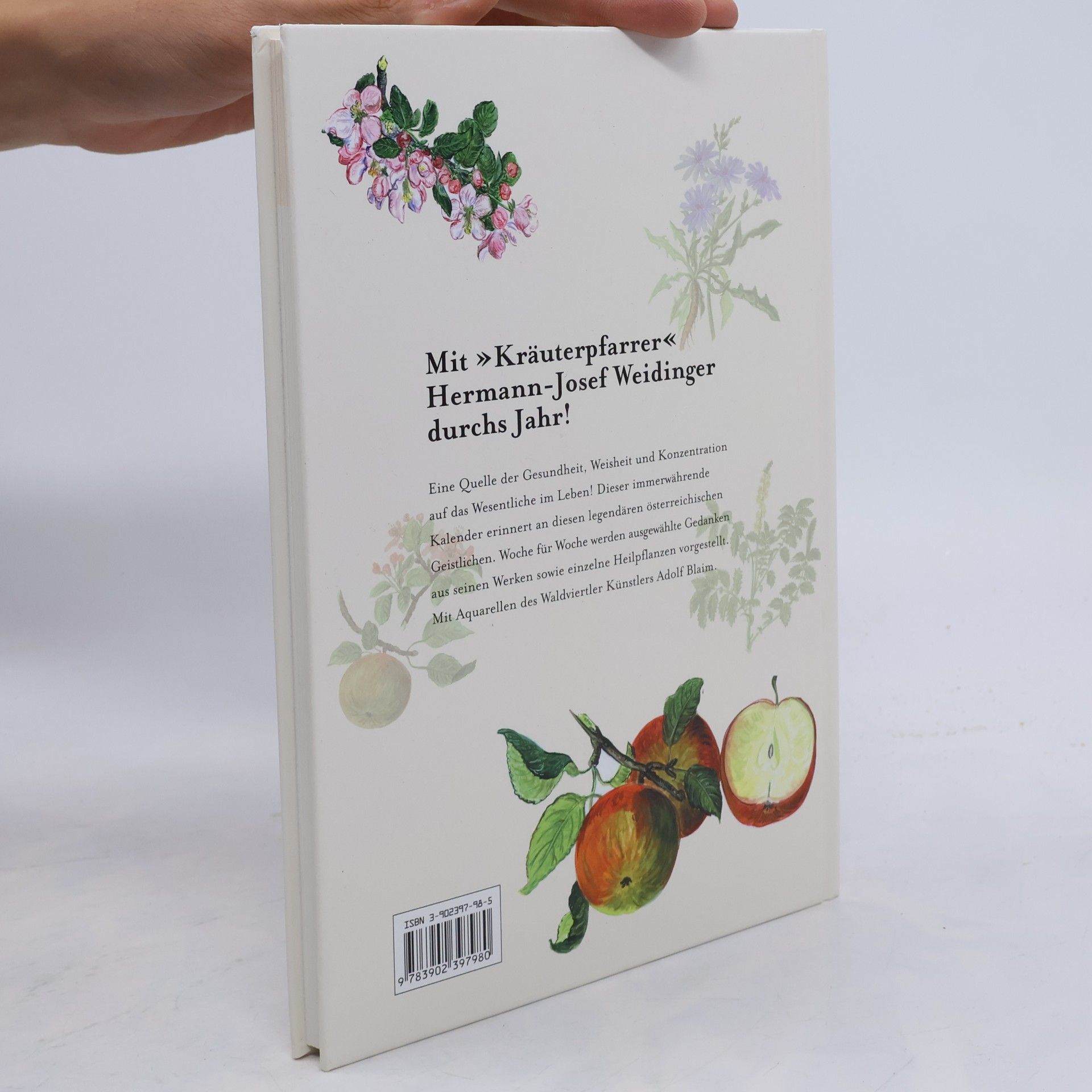 Hermann-Josef Weidinger Mit dem Kräuterpfarrer durchs Jahr