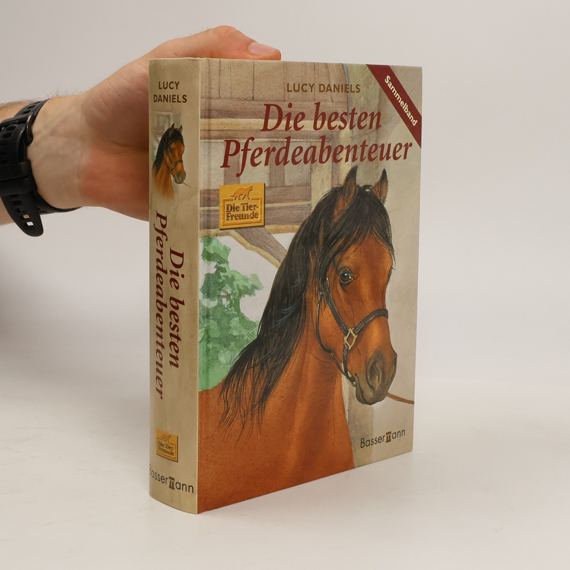 Die besten Pferdeabenteuer