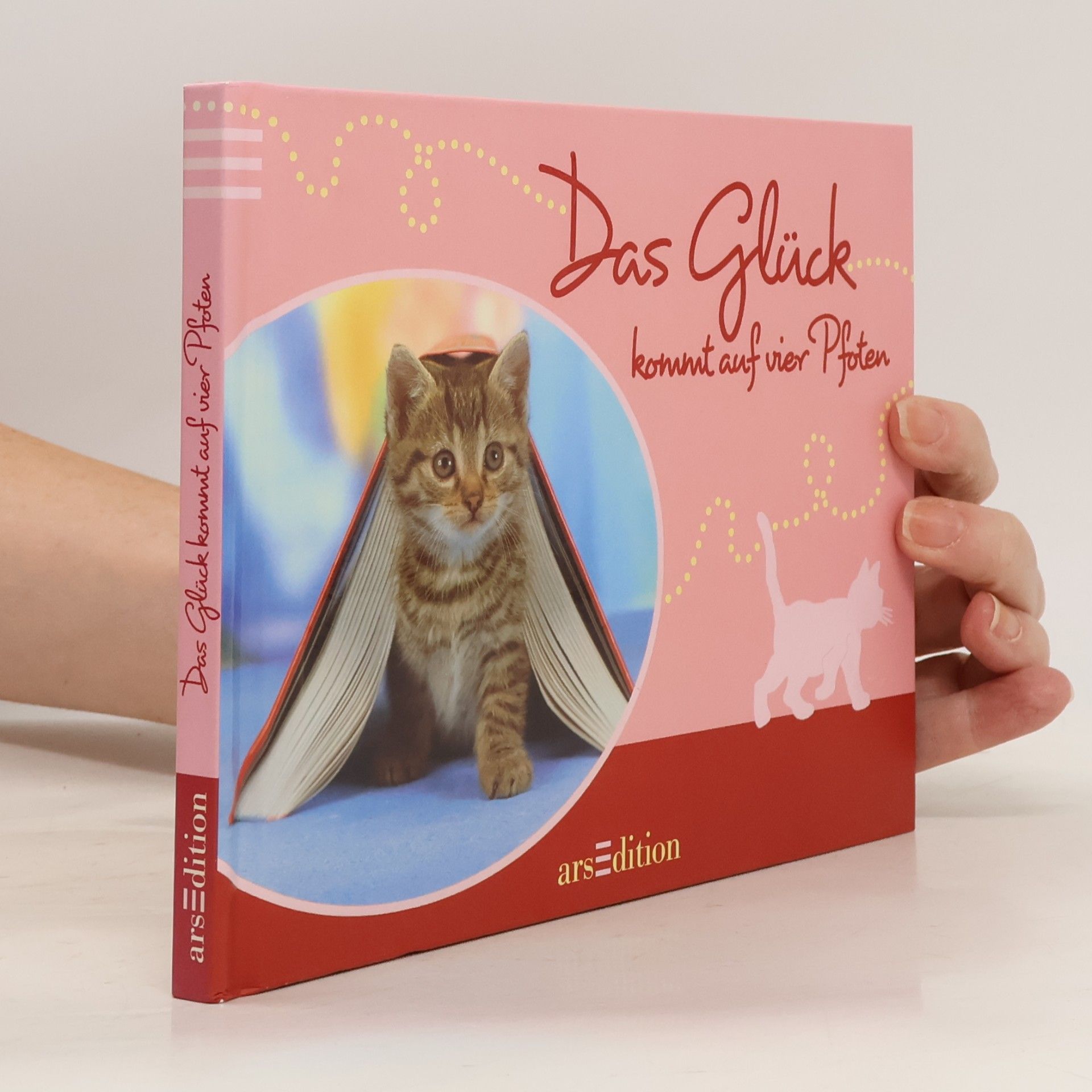 kolektiv Das Glück kommt auf vier Pfoten