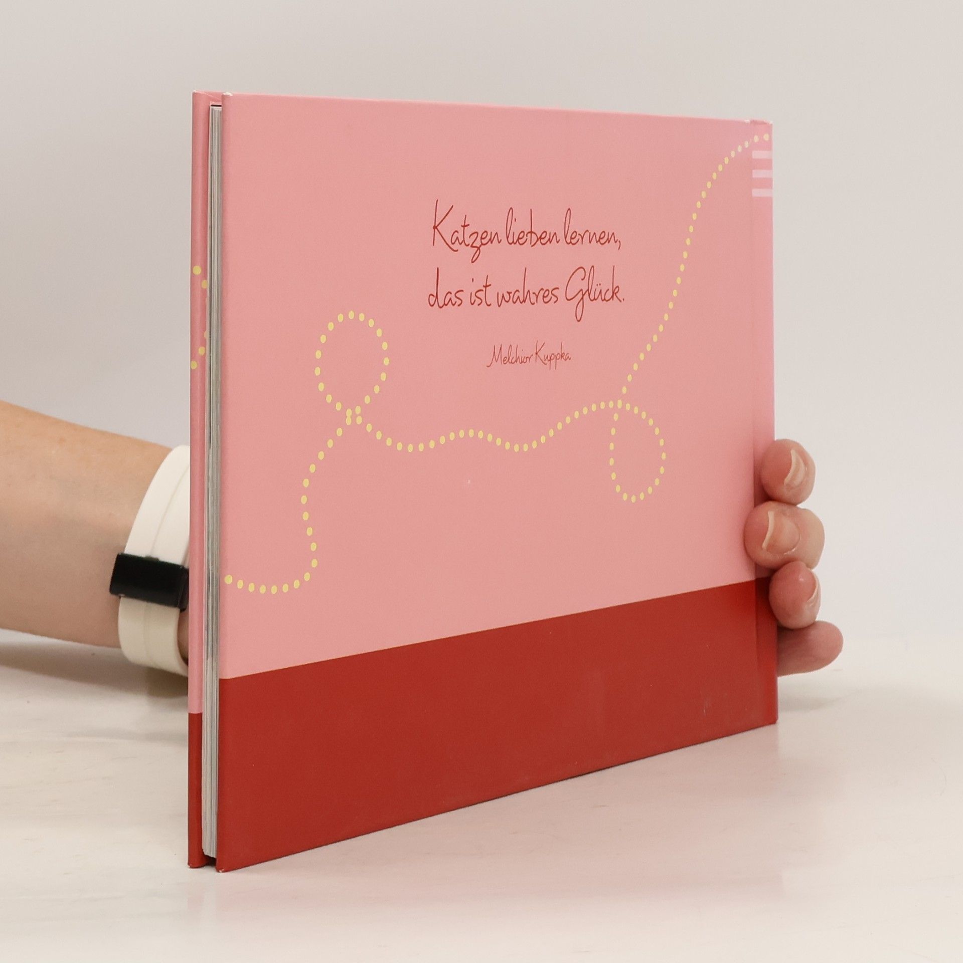 Autorenkollektiv Das Glück kommt auf vier Pfoten