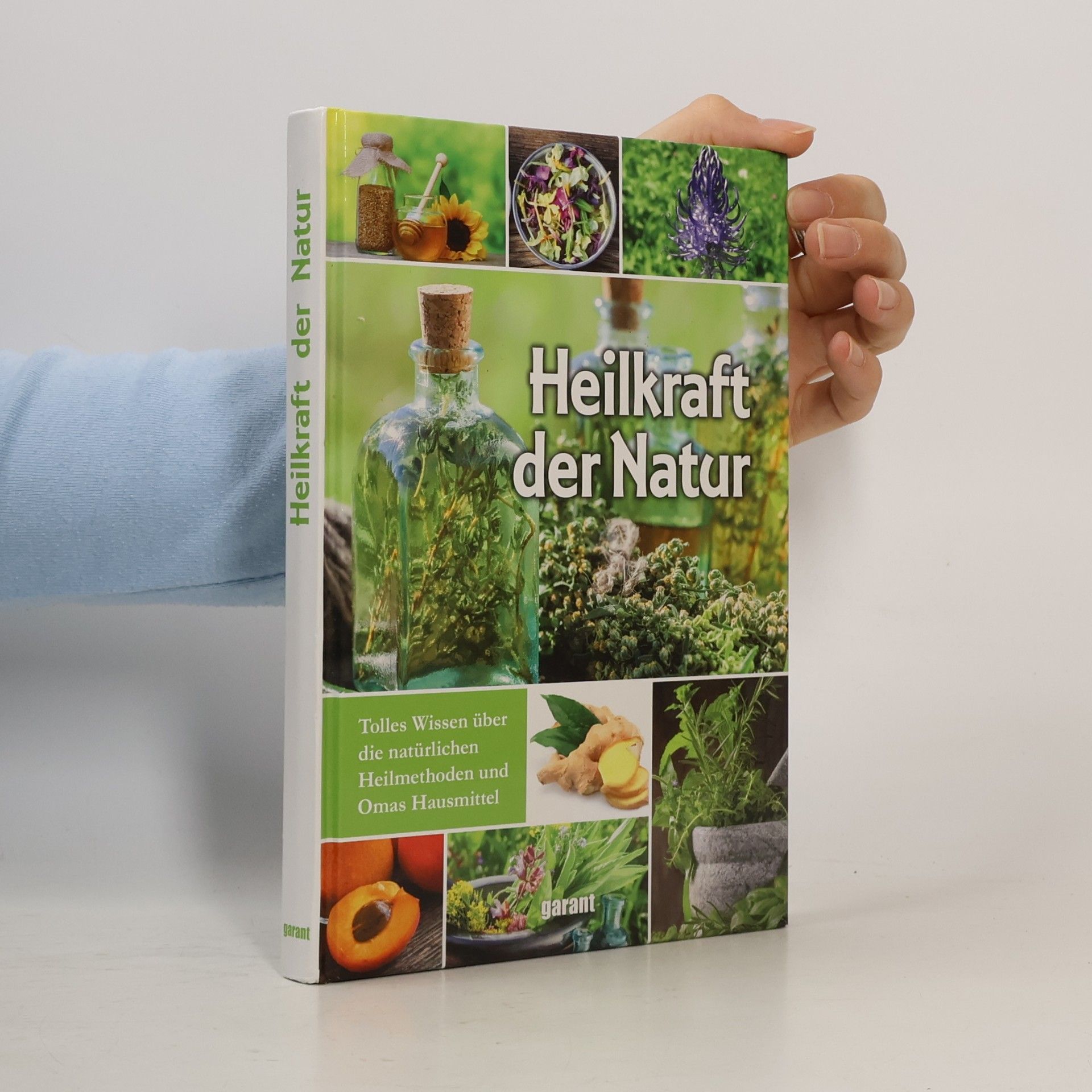 Susanne Lamprecht Heilkraft der Natur