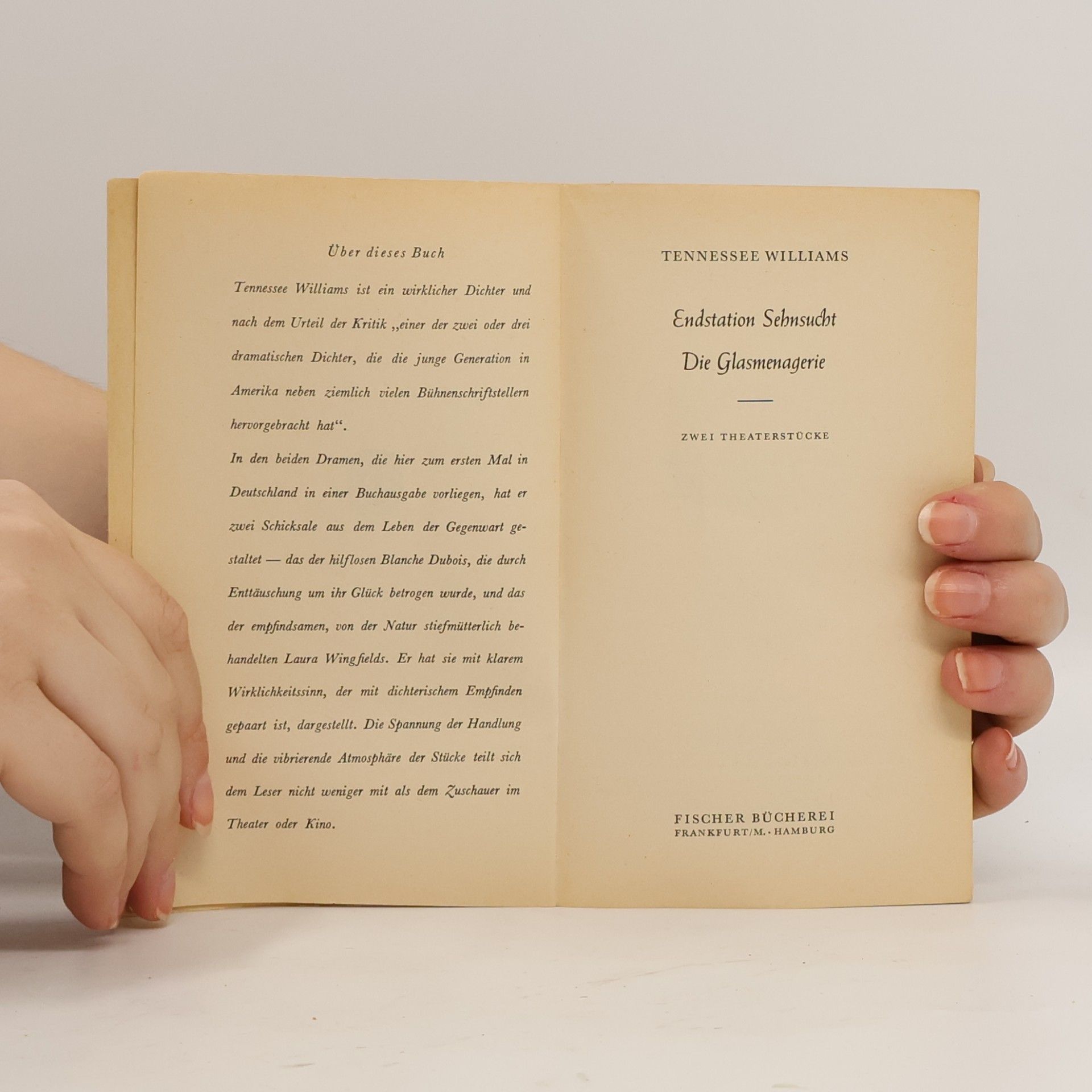 Tennessee Williams Endstation Sehnsucht