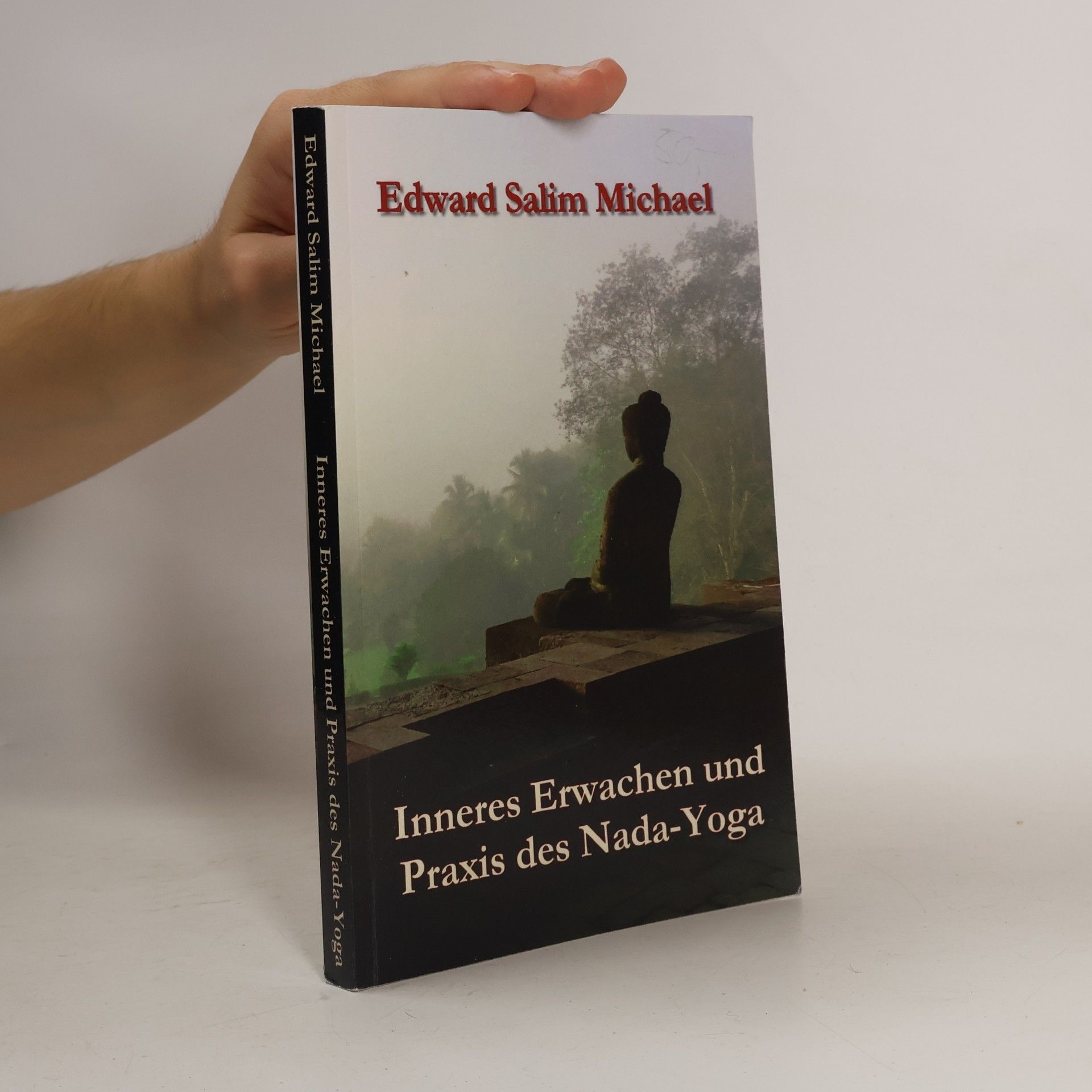 Edward Salim Michael Inneres Erwachen und Praxis des Nada-Yoga