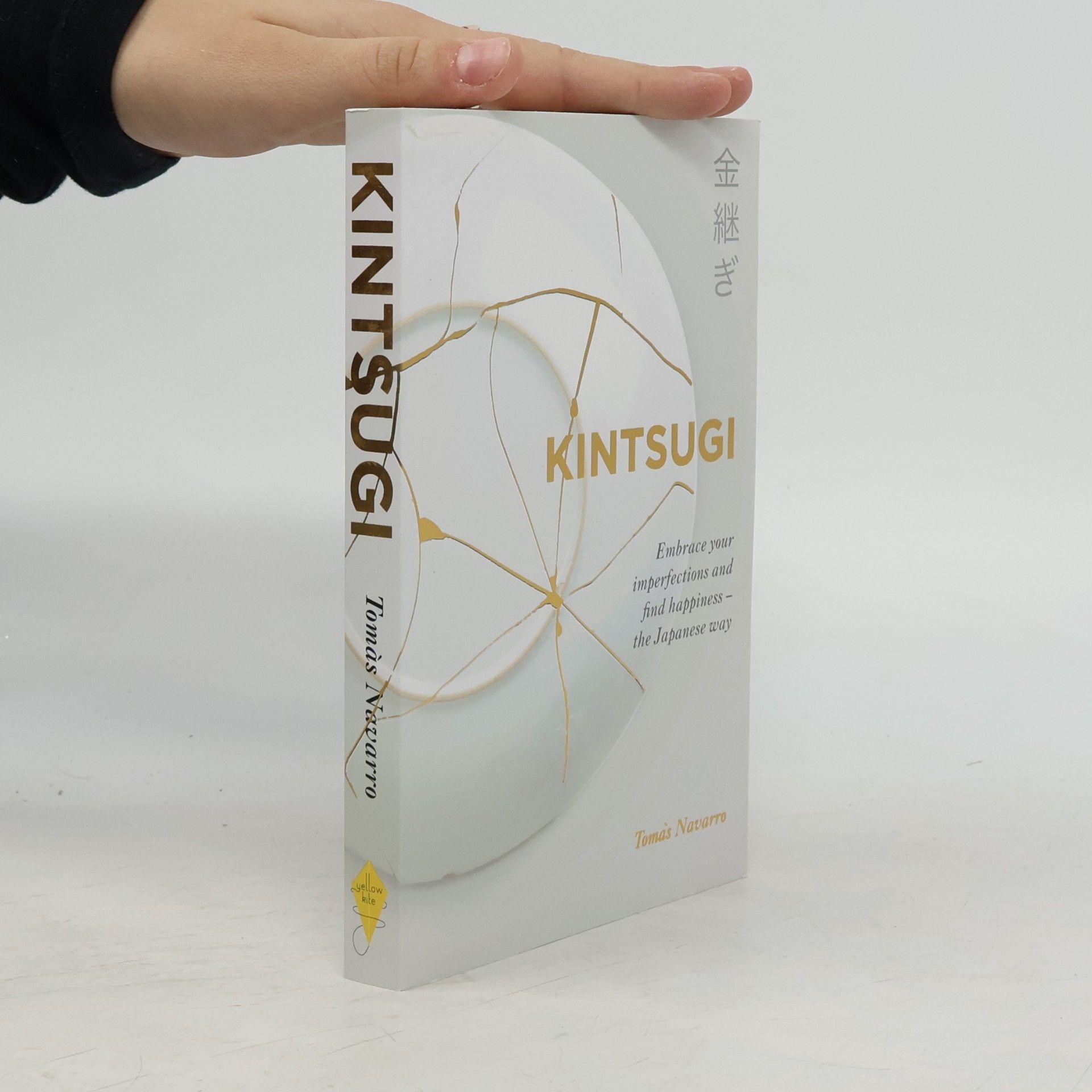 Tomás Navarro Kintsugi