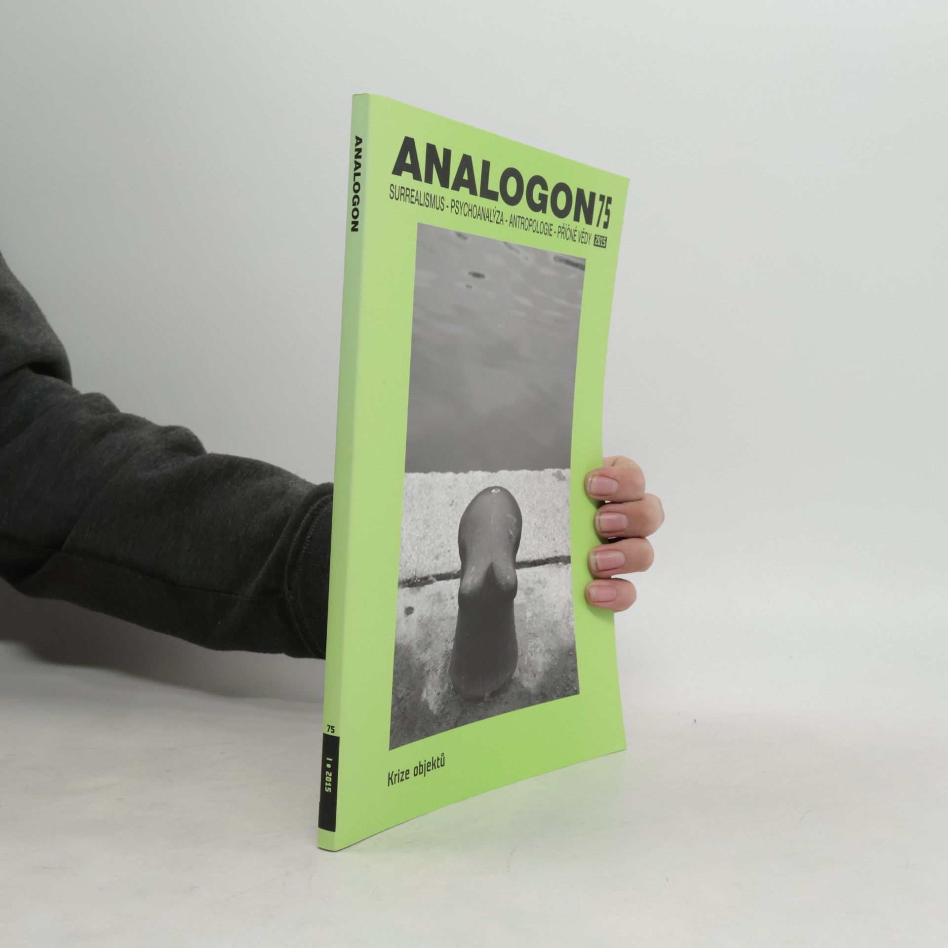 Collectif d'auteurs Analogon 75