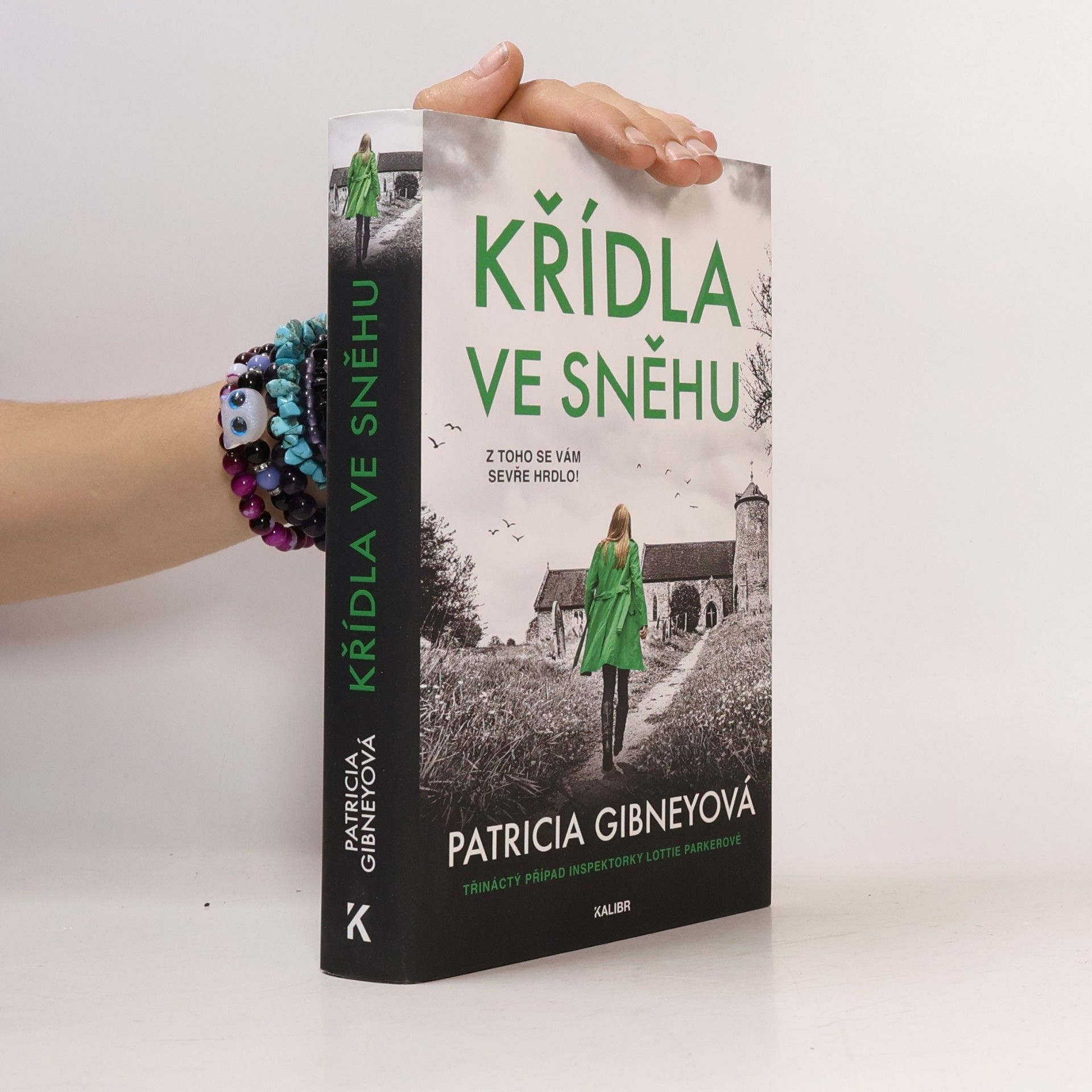 Patricia Gibney Křídla ve sněhu