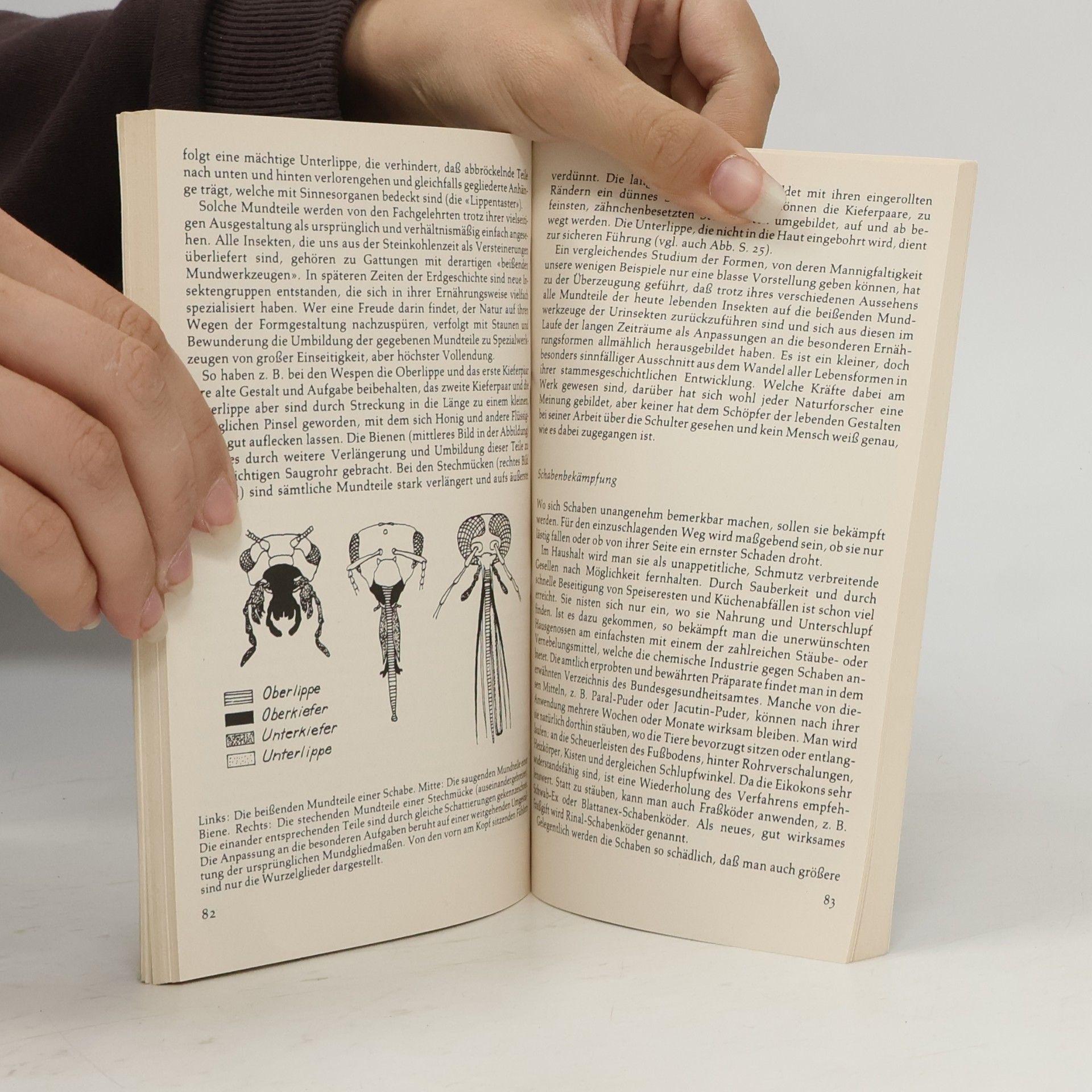 Karl von Frisch Rororo-Sachbuch: Zwölf kleine Hausgenossen