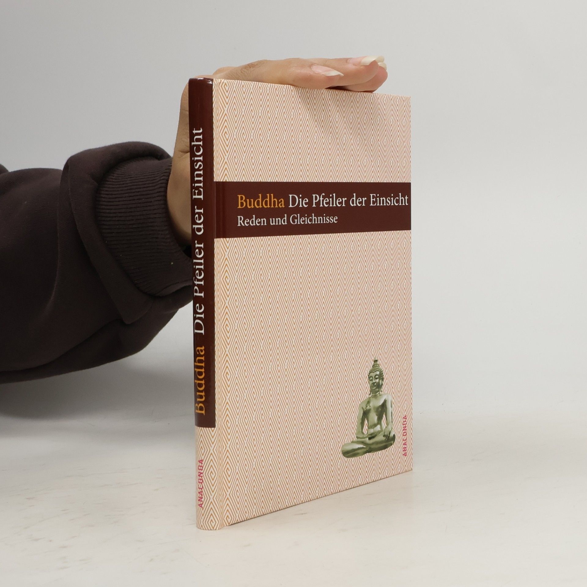 Gautama Buddha Die Pfeiler der Einsicht. Reden und Gleichnisse