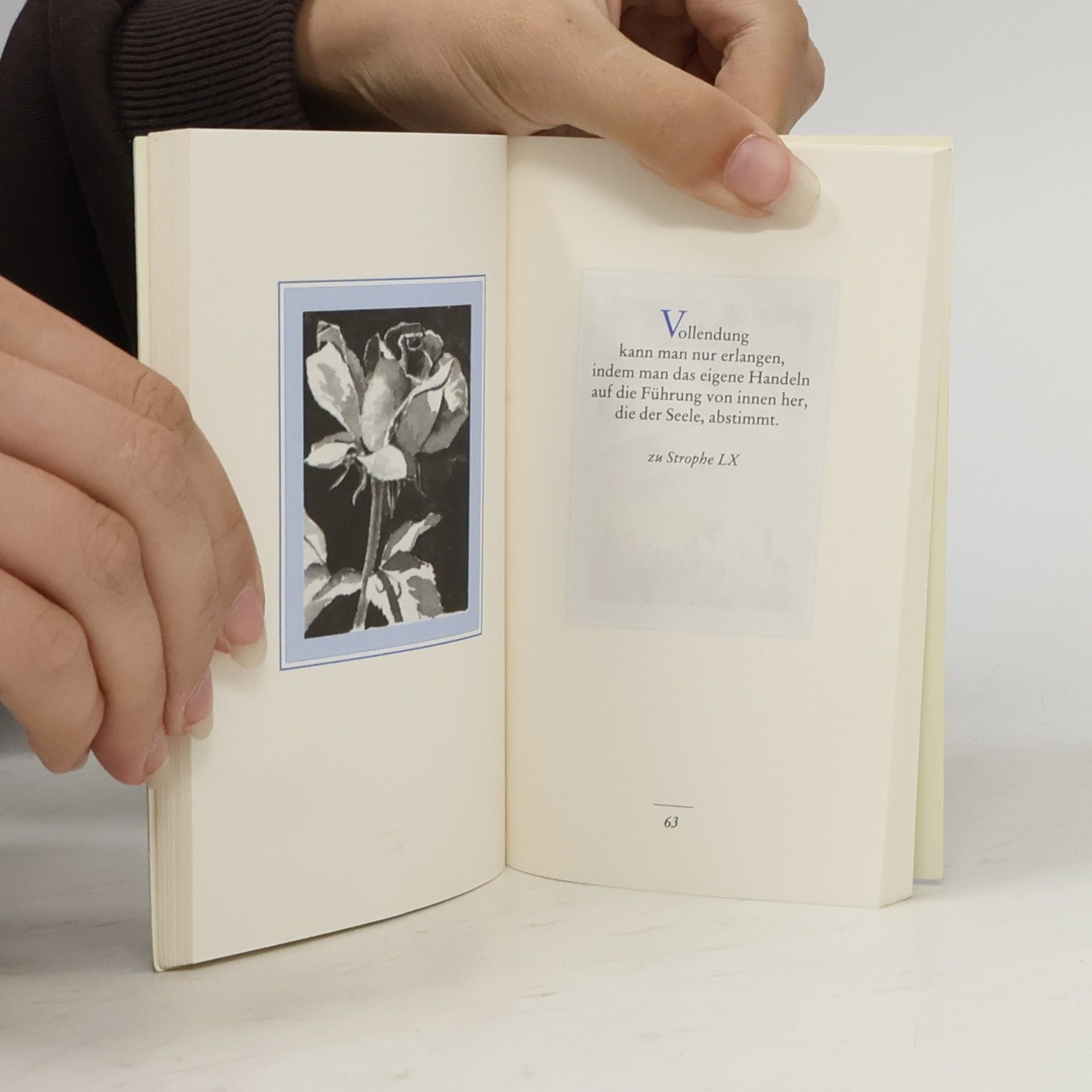 Paramahamsa Yogananda Knaur Taschenbücher: Paramahansa Yogananda interpretiert die Rubaijat des Omar Chajjam