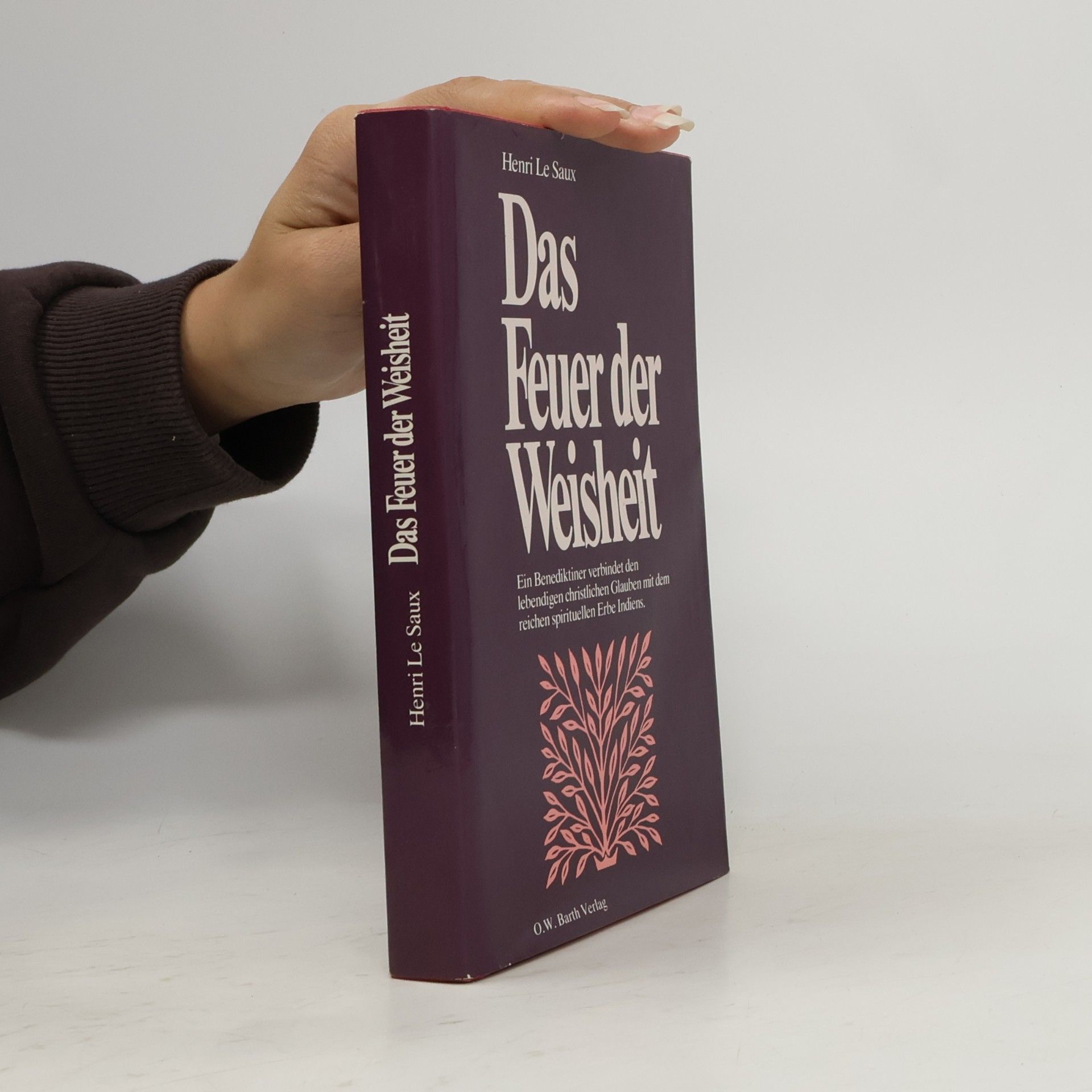 Henri Le Saux Das Feuer der Weisheit