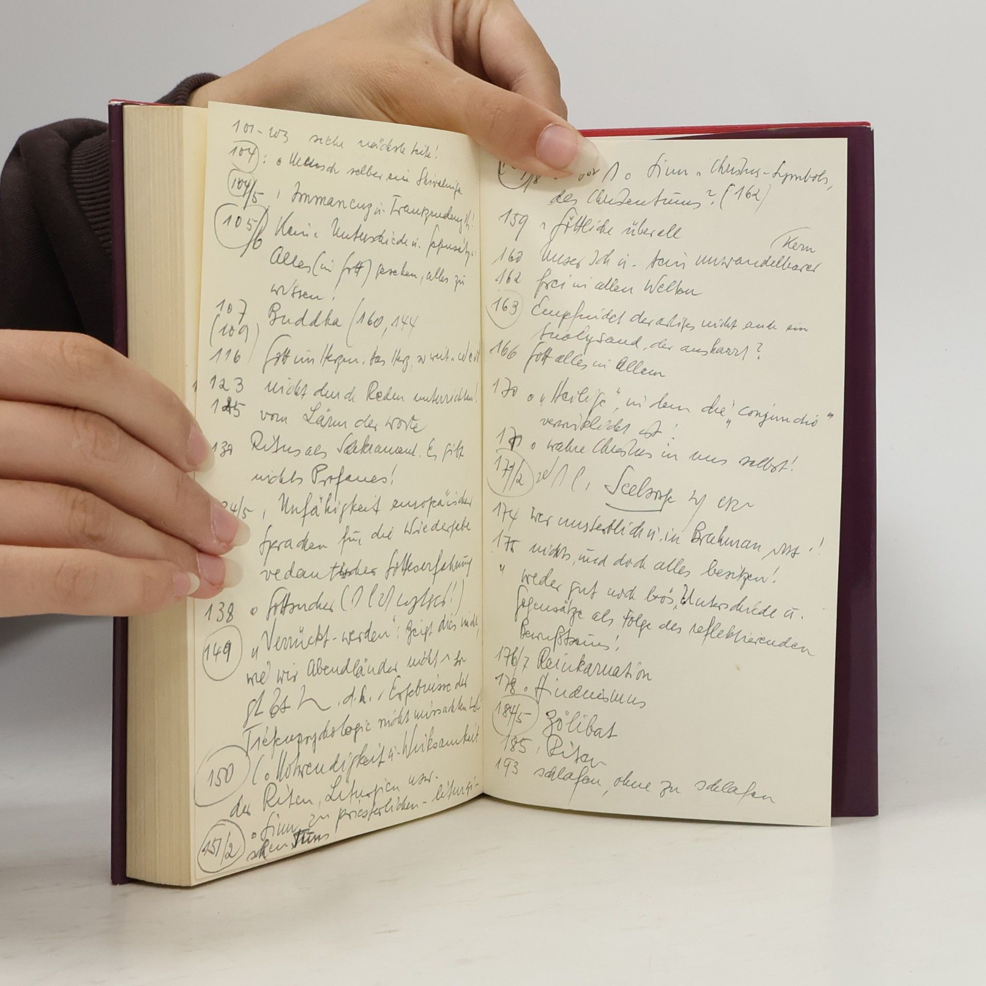 Henri Le Saux Das Feuer der Weisheit