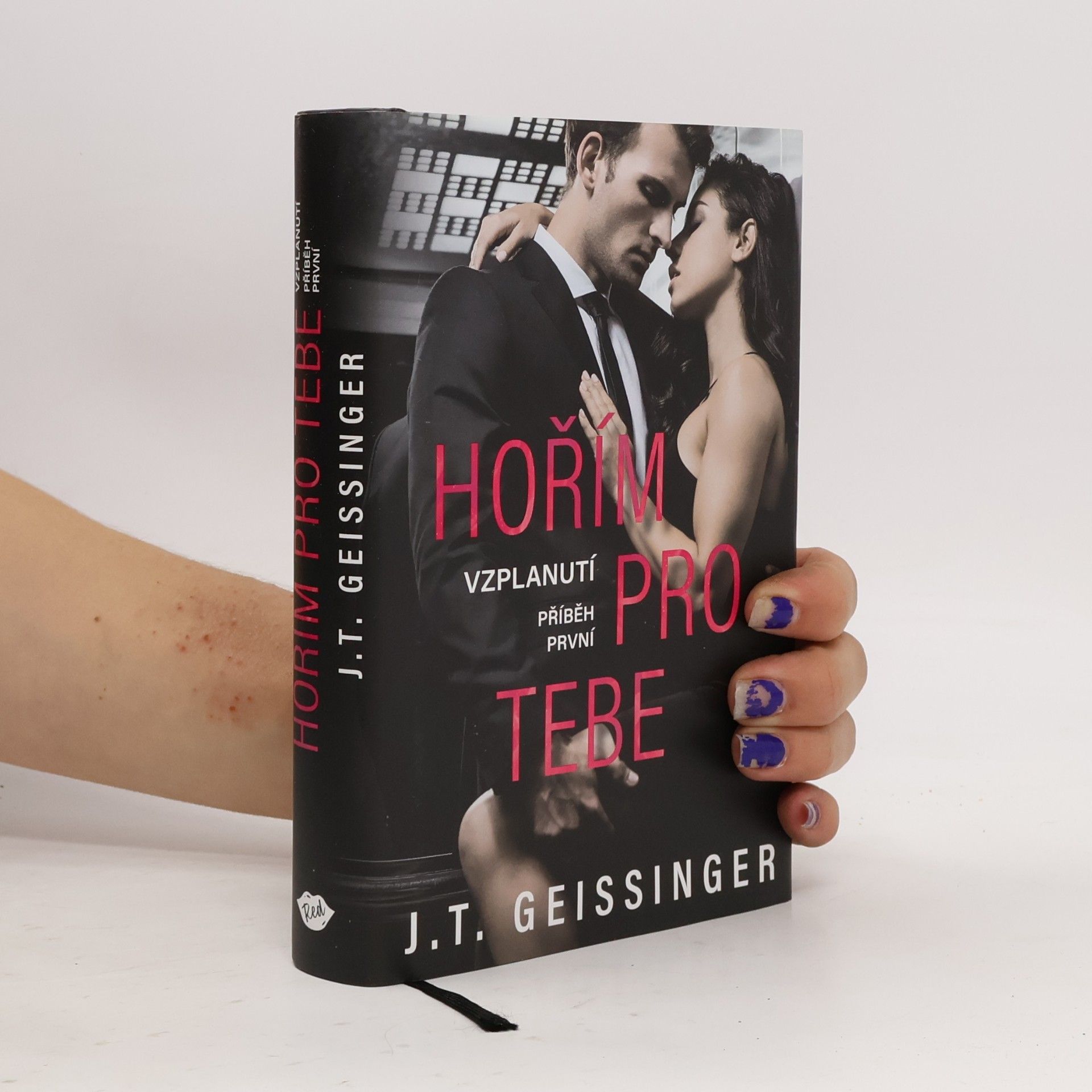 J. T. Geissinger Hořím pro tebe. Příběh první, Vzplanutí
