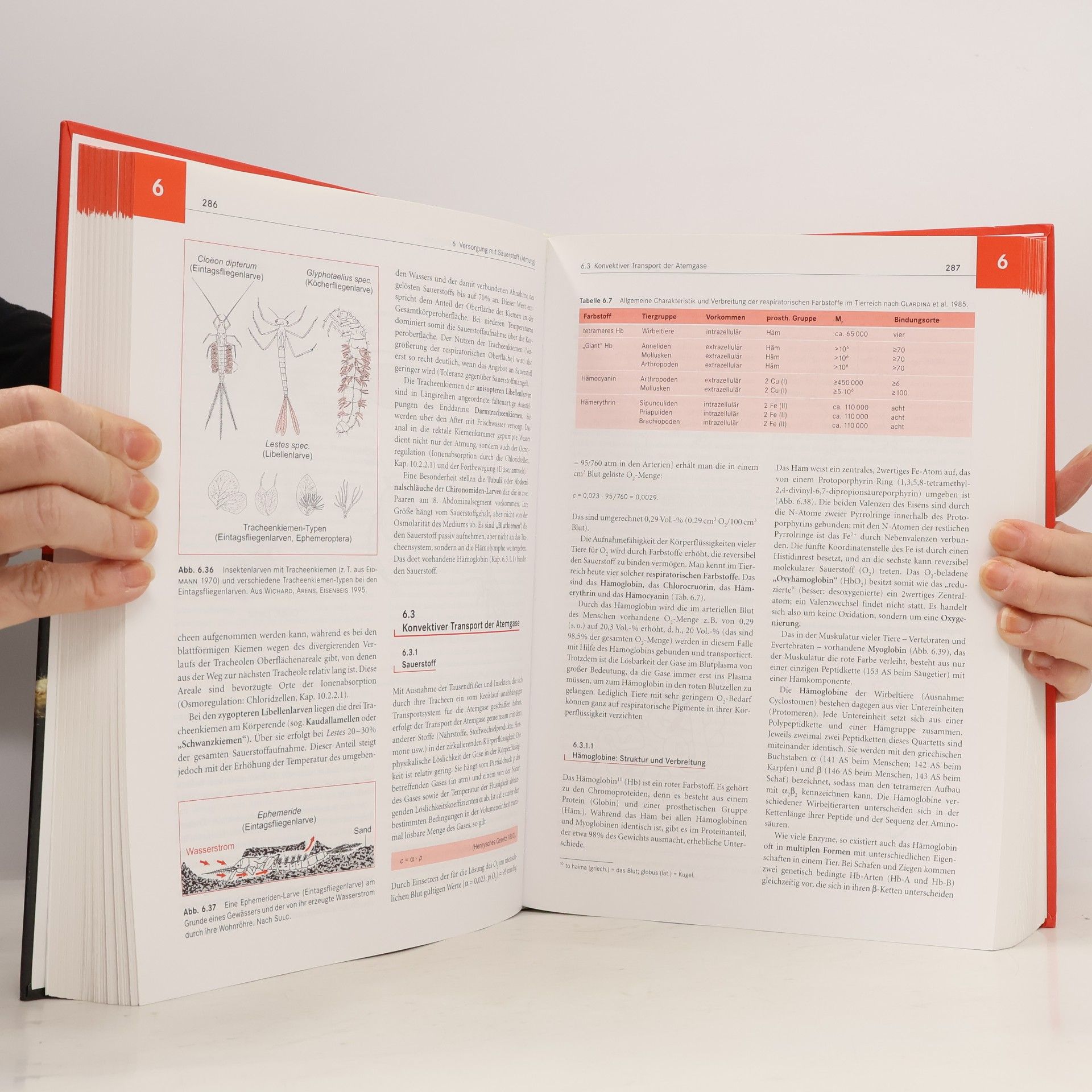 Heinz Penzlin Lehrbuch der Tierphysiologie