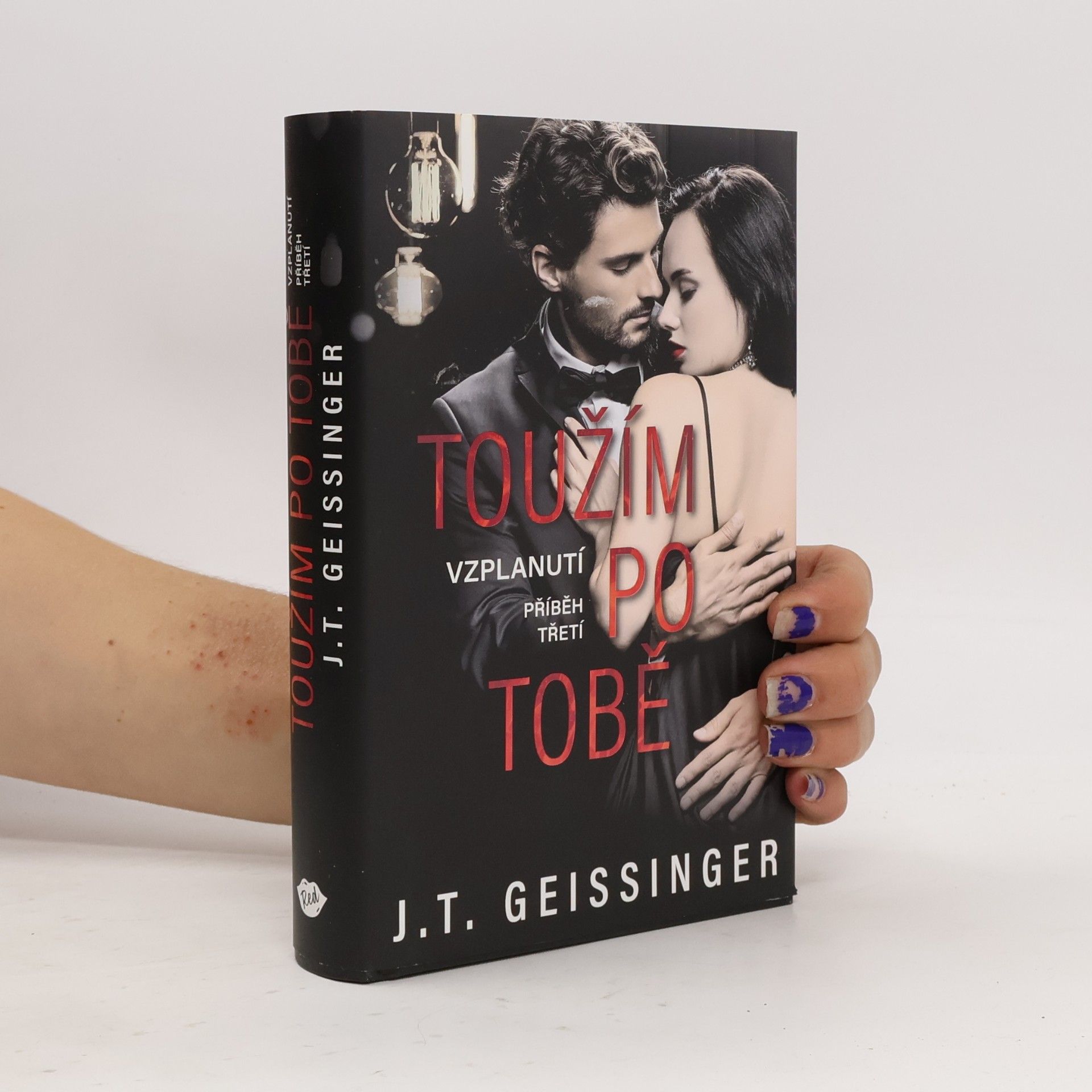 J. T. Geissinger Toužím po tobě