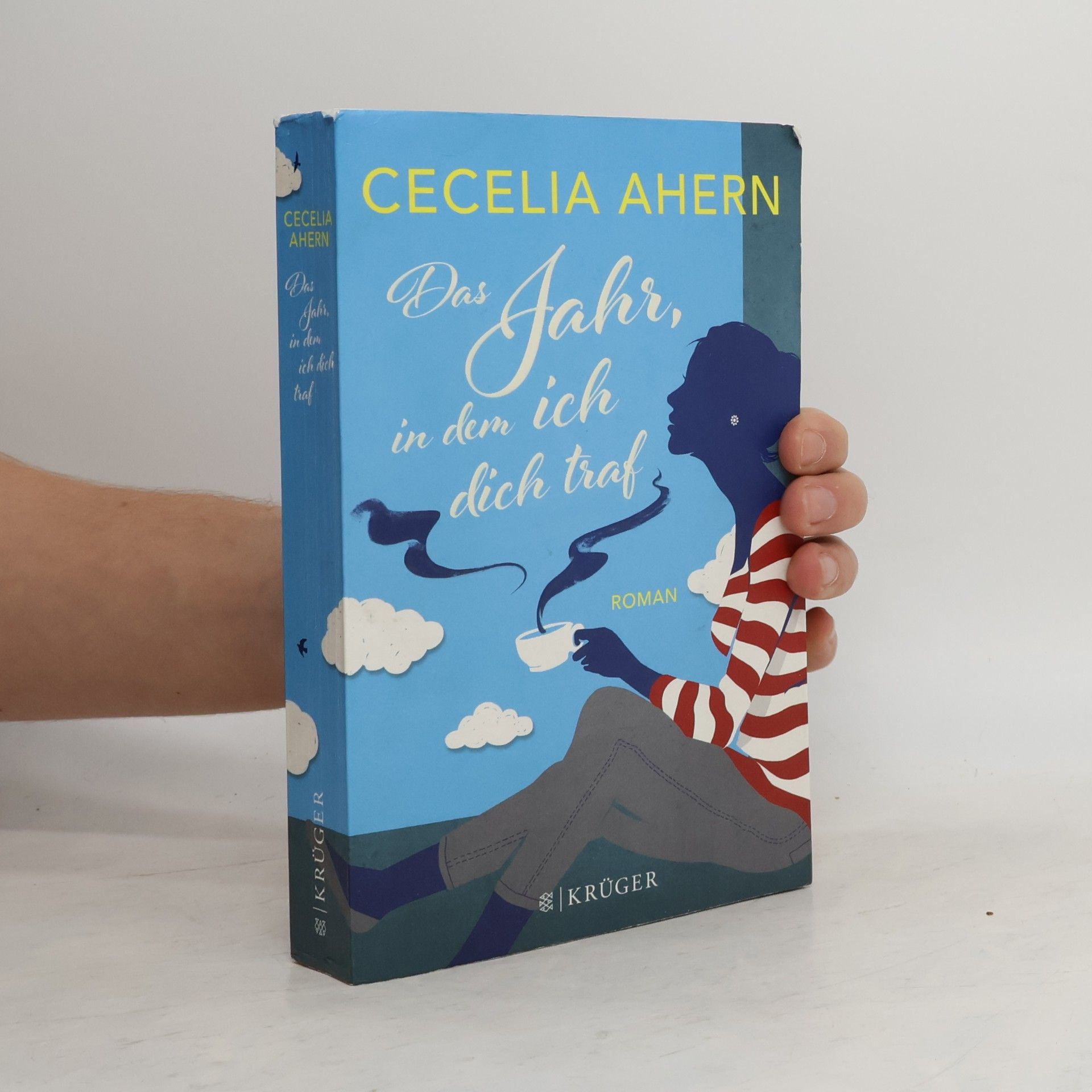 Cecelia Ahern Das Jahr, in dem ich dich traf