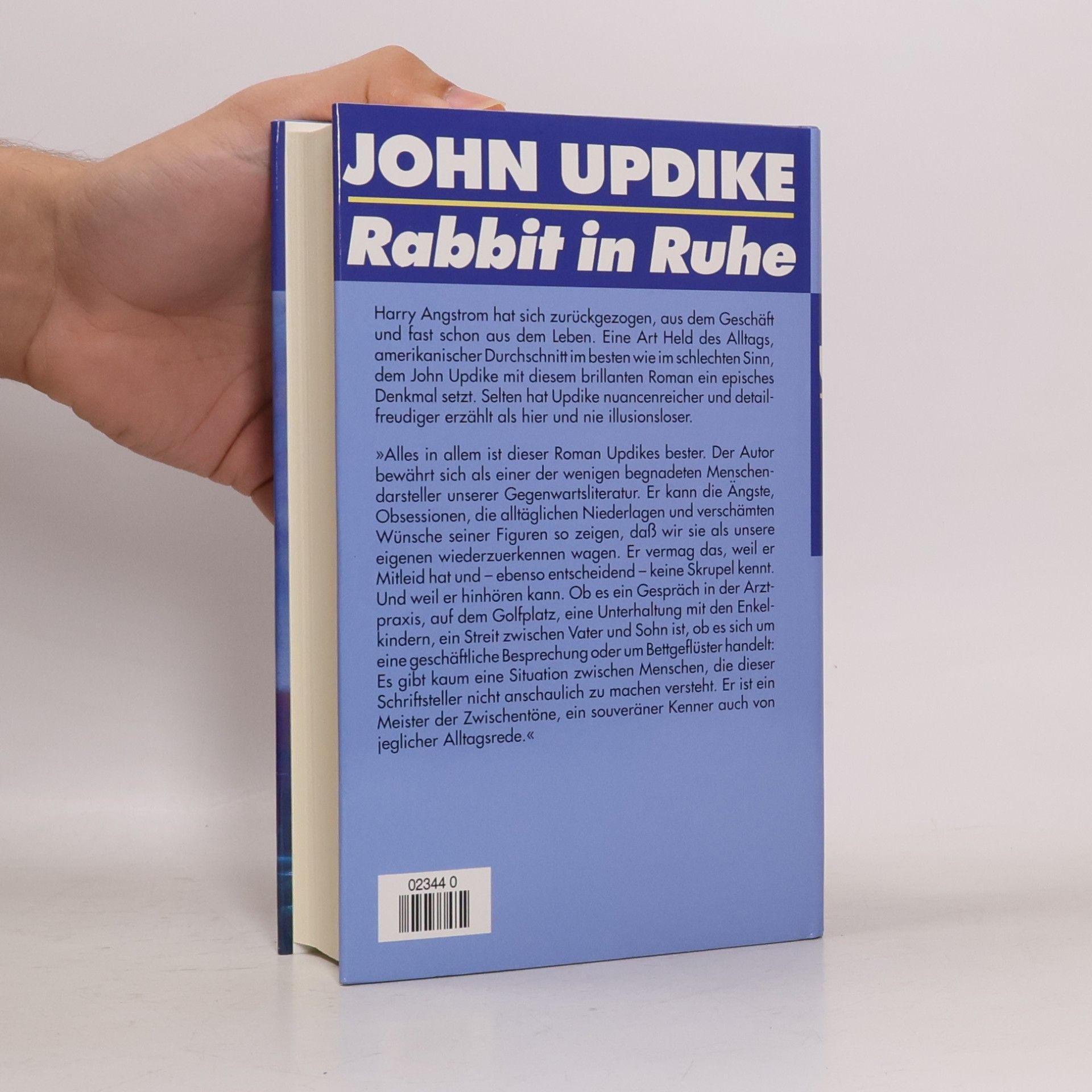 John Updike Rabbit in Ruhe
