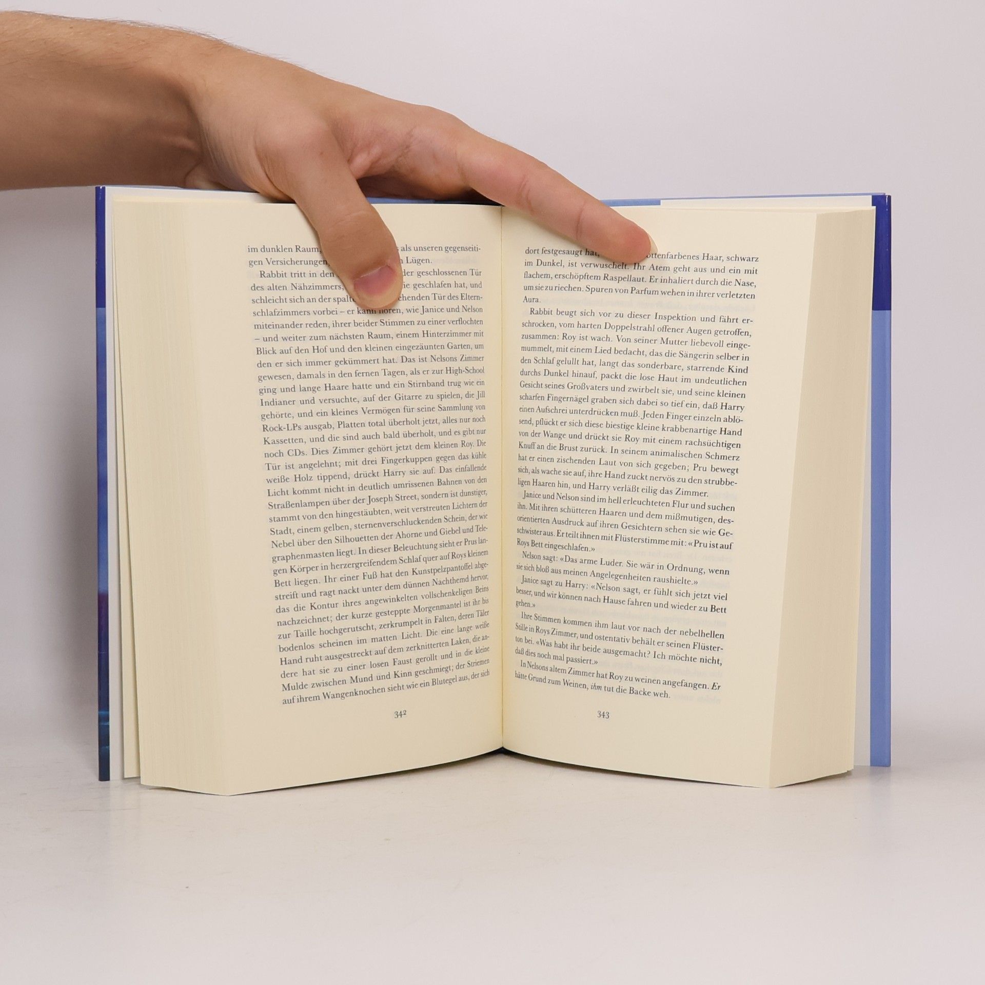 John Updike Rabbit in Ruhe