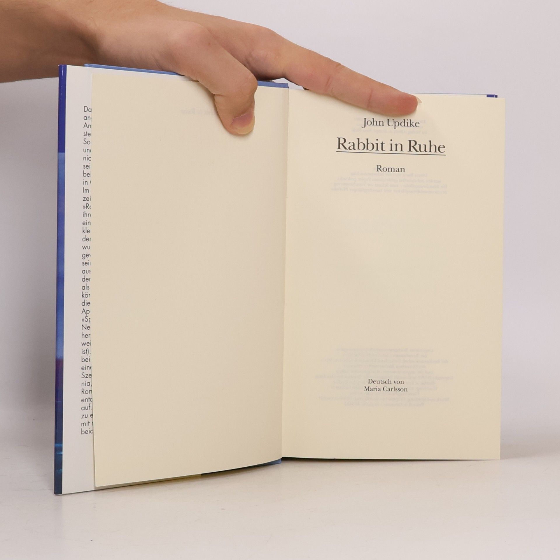 John Updike Rabbit in Ruhe