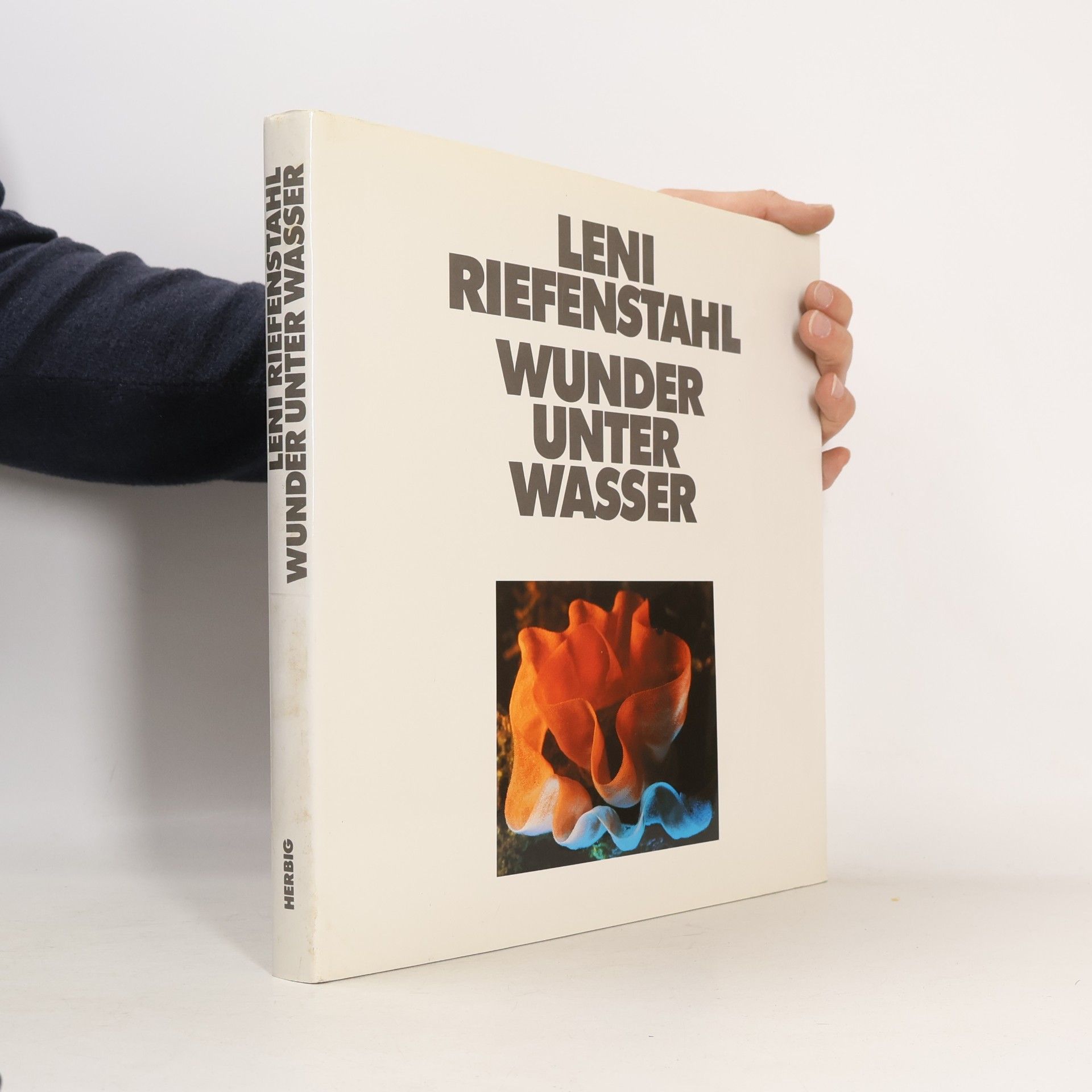 Wunder unter Wasser