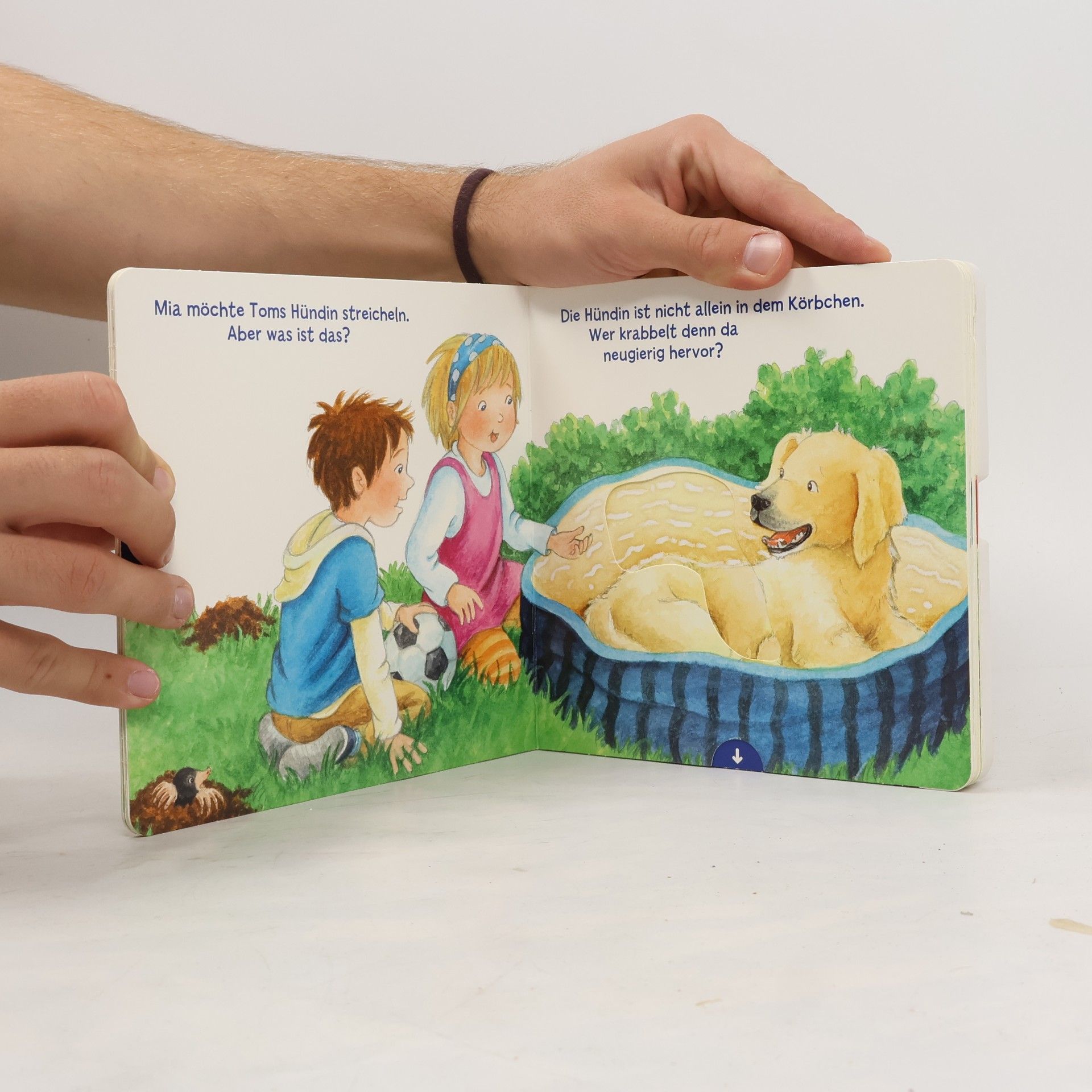 Kyrima Trapp Mein erstes Hör mal (Soundbuch ab 1 Jahr): Die Tierkinder