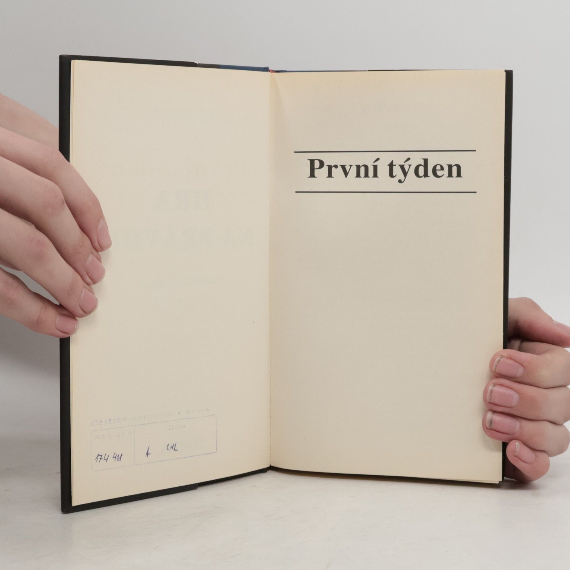 Stella Blómkvist Hra na pravdu