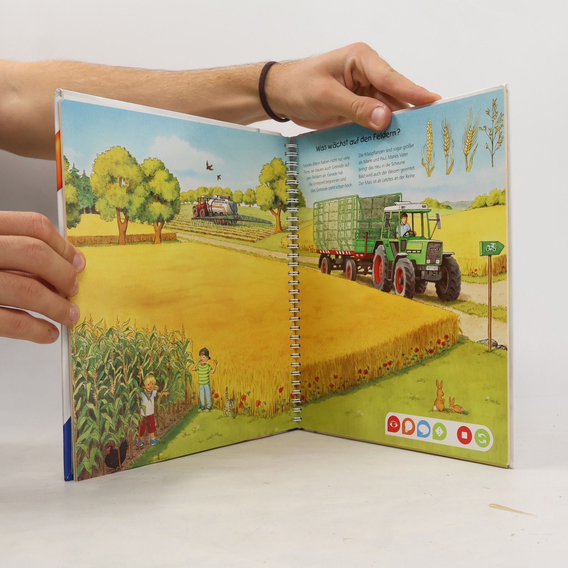 Inka Friese Entdecke den Bauernhof