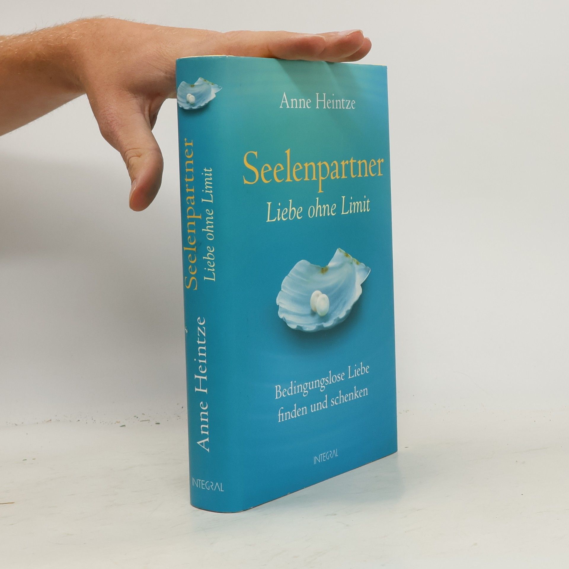 Anne Heintze Seelenpartner - Liebe ohne Limit