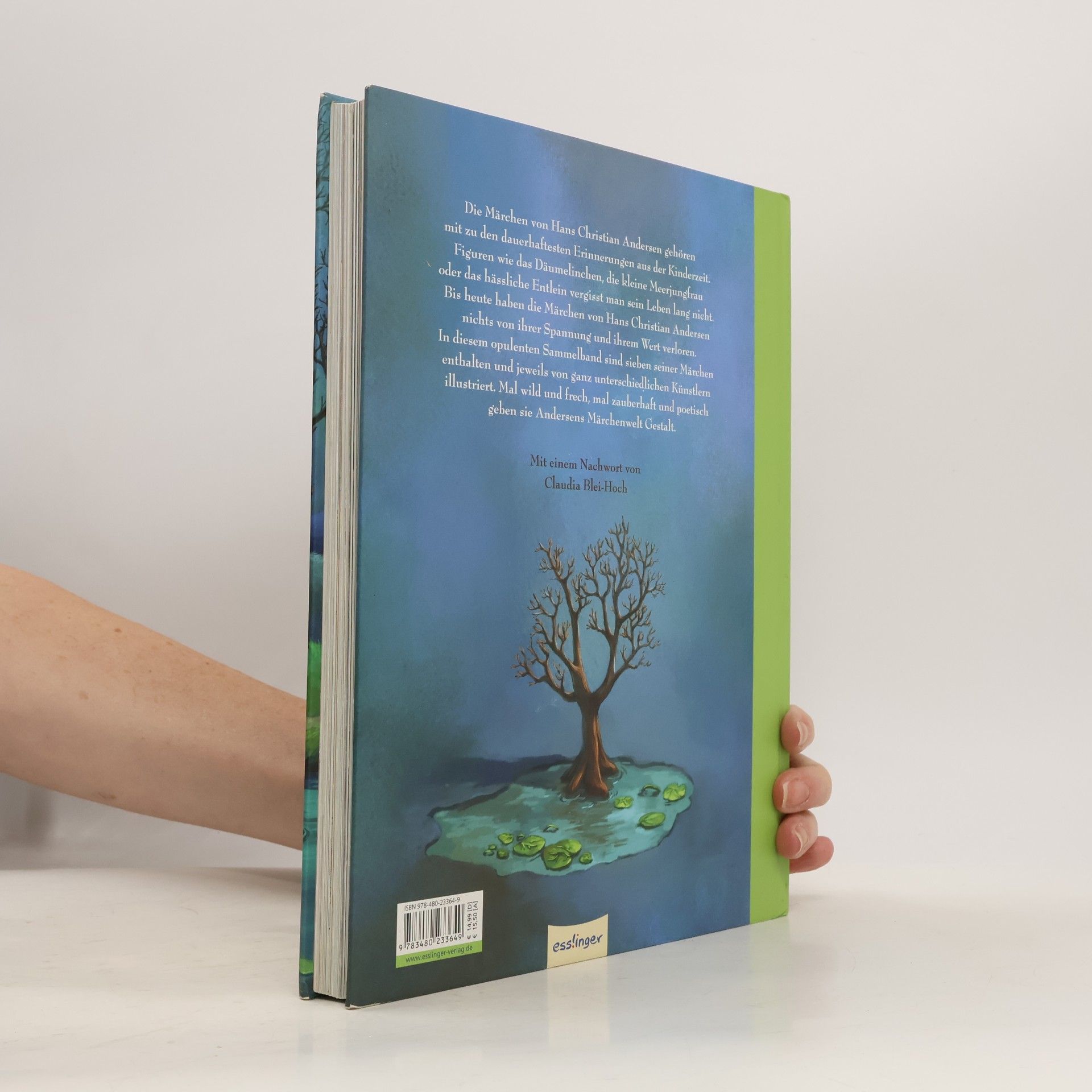 Michael Bayer Das große Märchenbilderbuch von Hans Christian Andersen