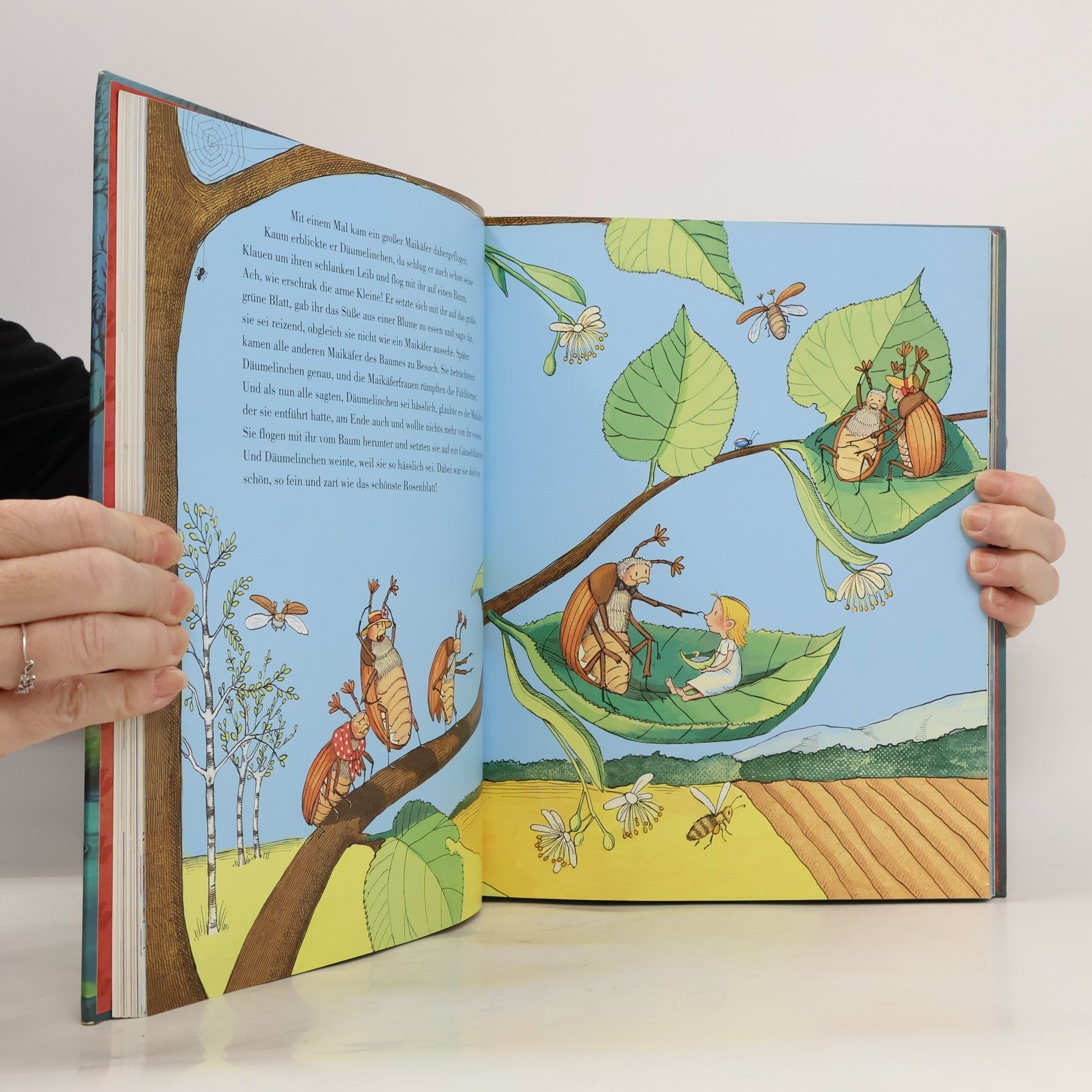 Michael Bayer Das große Märchenbilderbuch von Hans Christian Andersen