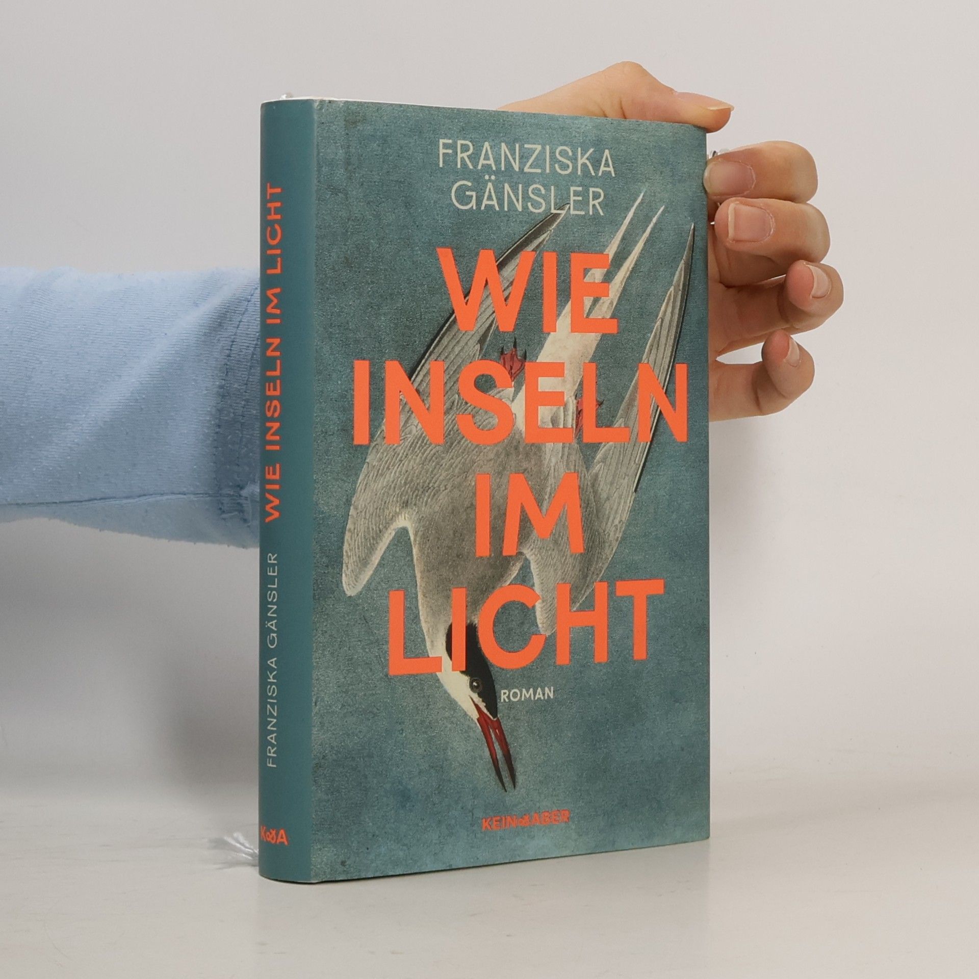 Franziska Gänsler Wie Inseln im Licht