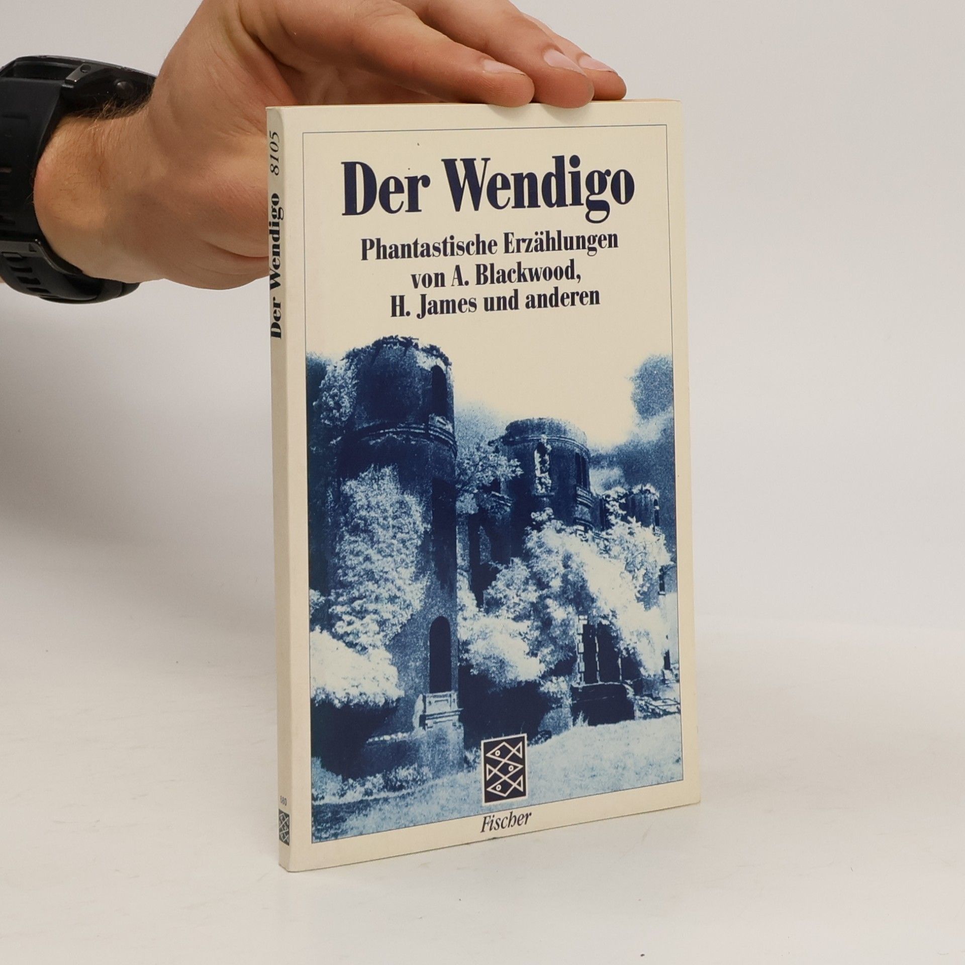 Blackwood Algernon Der Wendigo