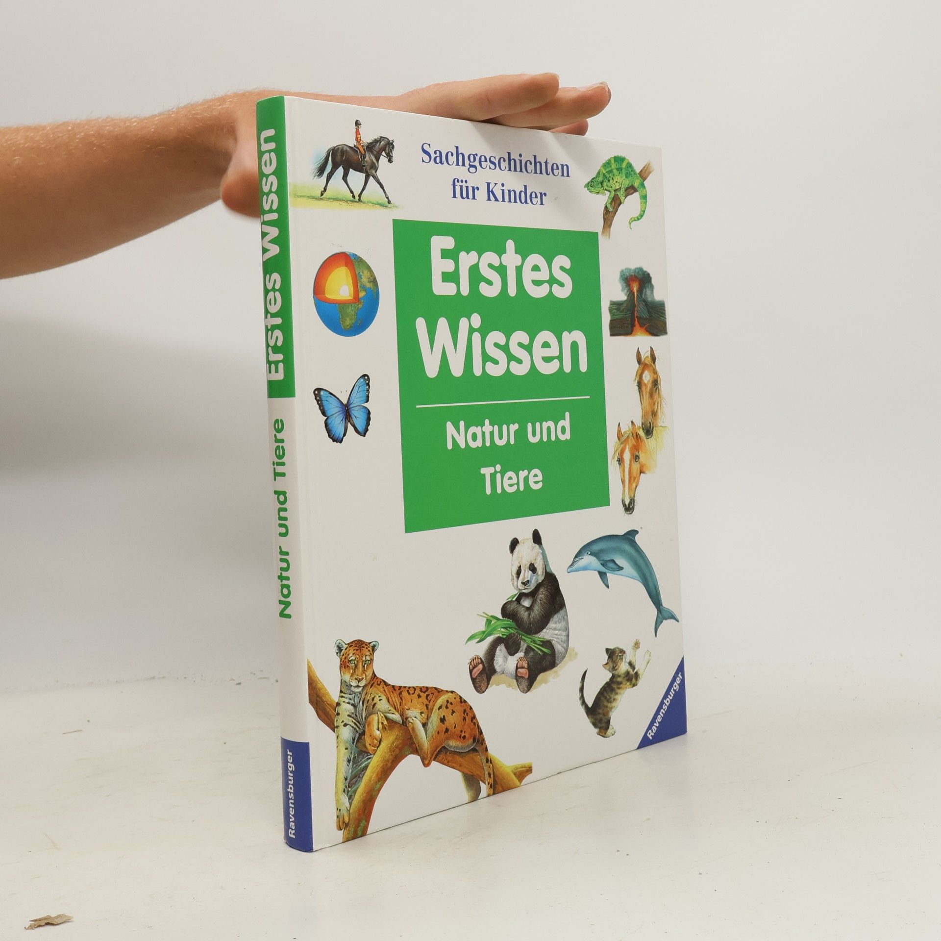 Erstes Wissen Natur und Tiere Sachgeschichten für Kinder