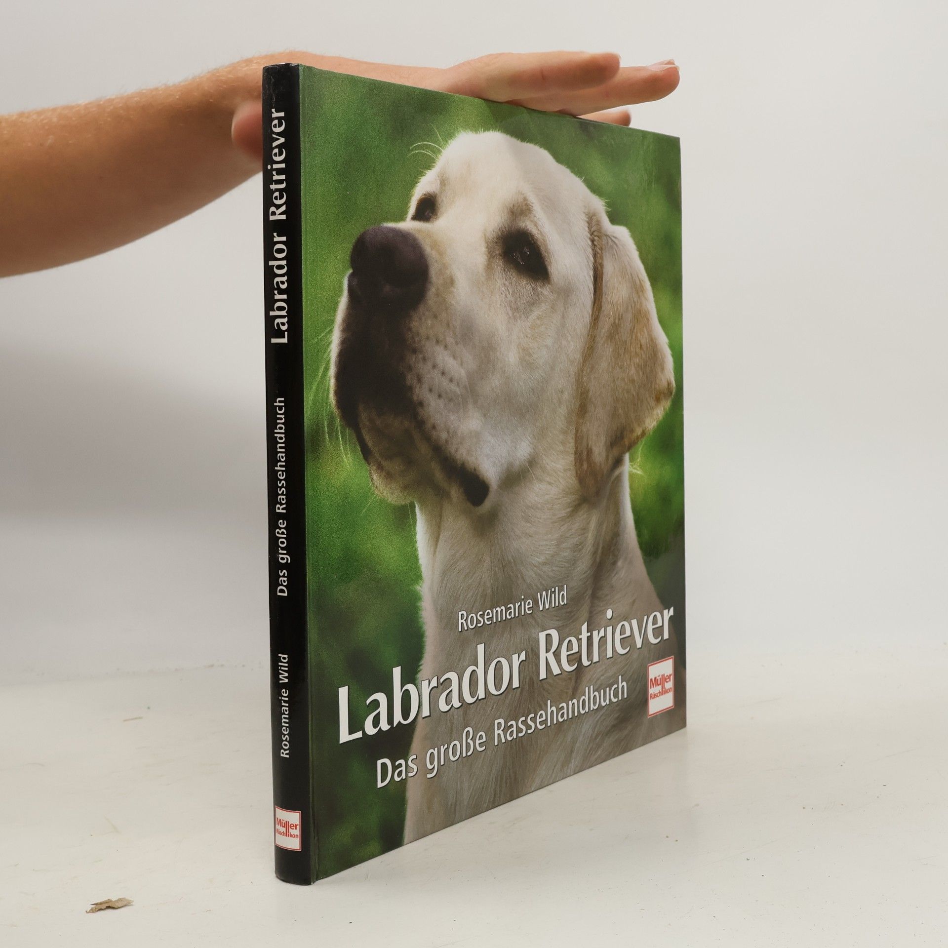 Rosemarie Wild Labrador Retriever