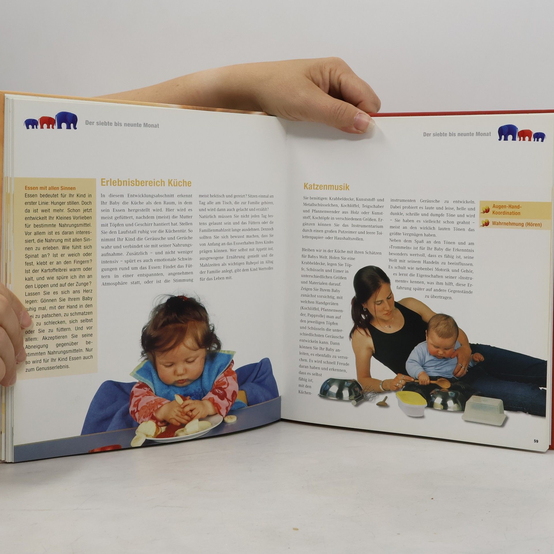 Marianne Loibl Mein Baby spielerisch fördern