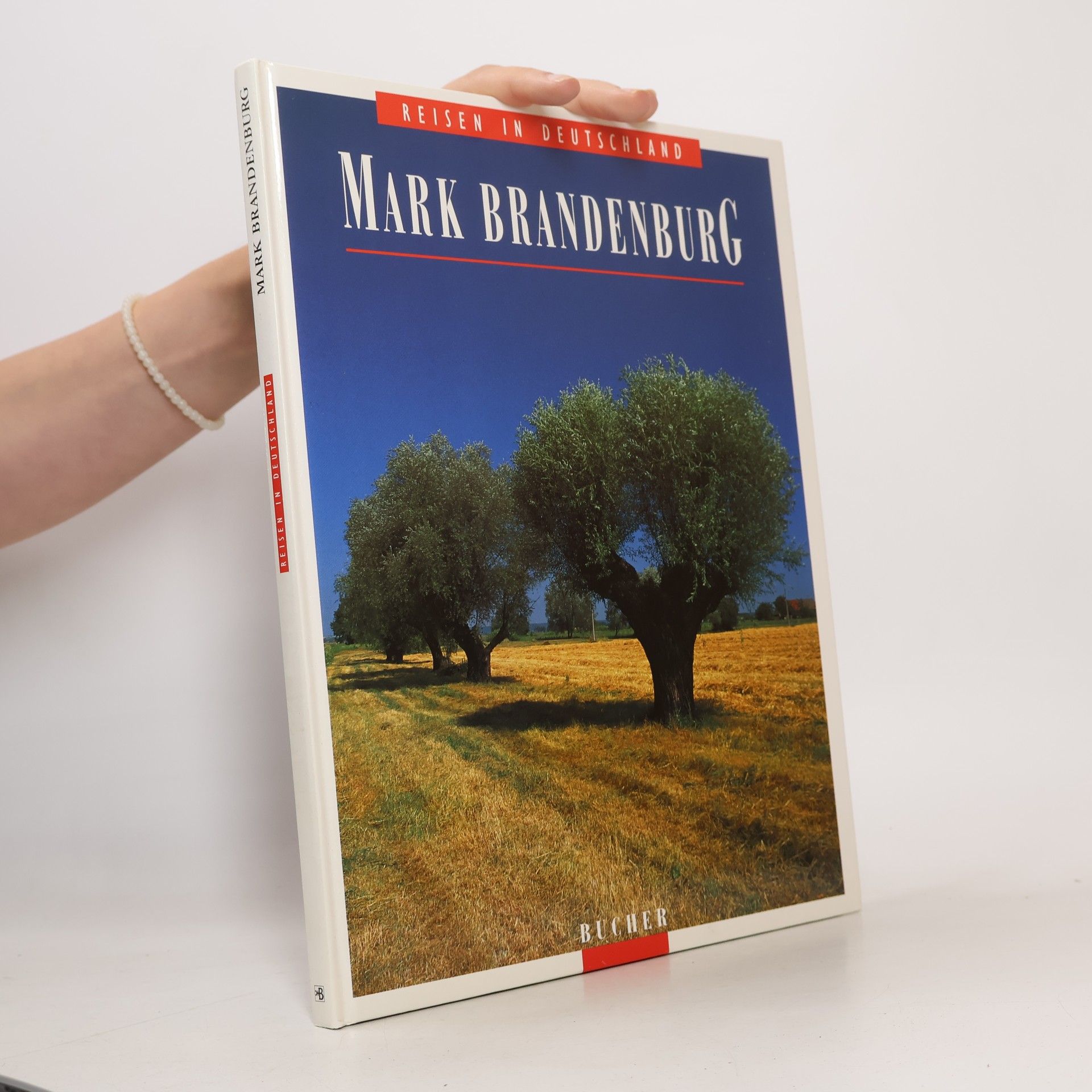 Hauke Dressler Mark Brandenburg