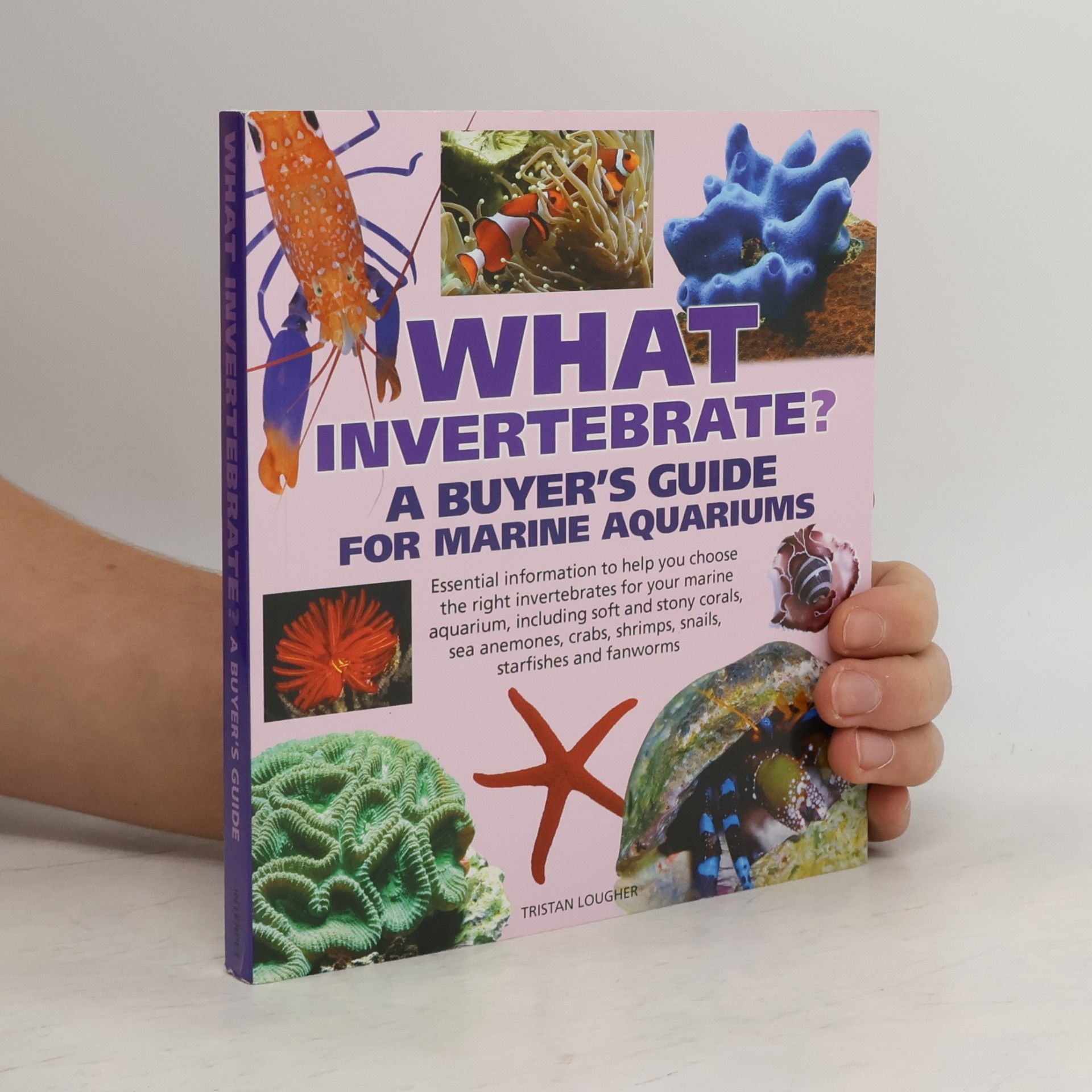 Tristan Lougher What Invertebrate?